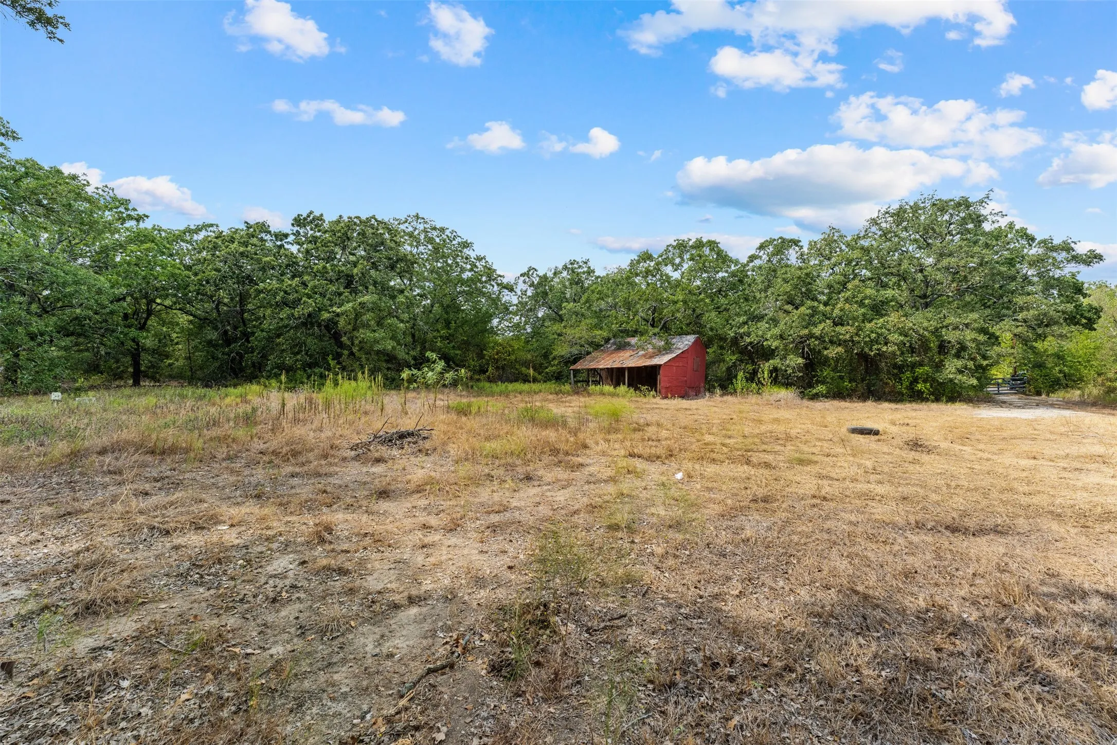 Expansive lot featuring mature trees and a rustic red outbuilding