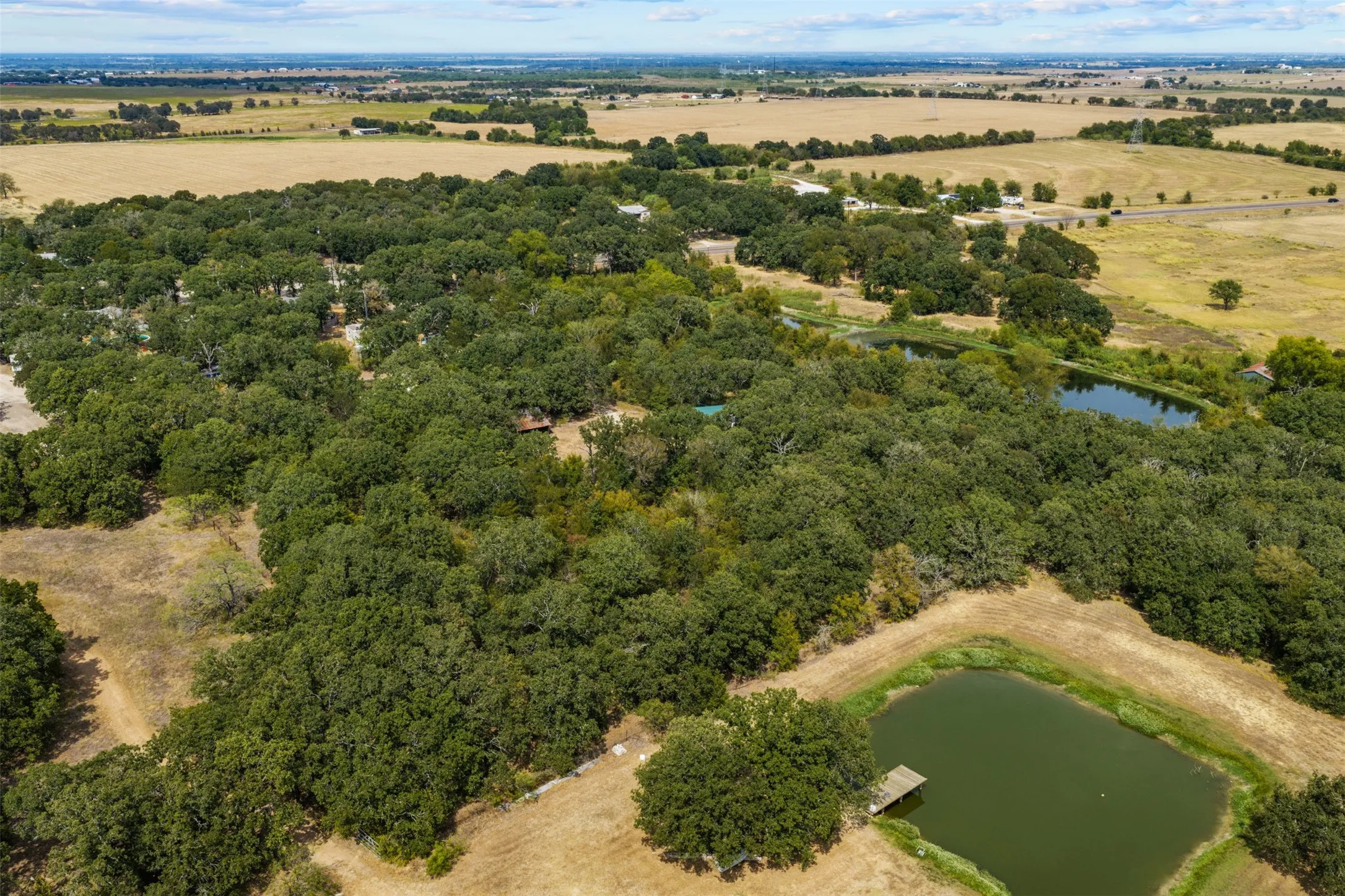 Expansive acreage with mature tree coverage, two ponds, and a wooden dock