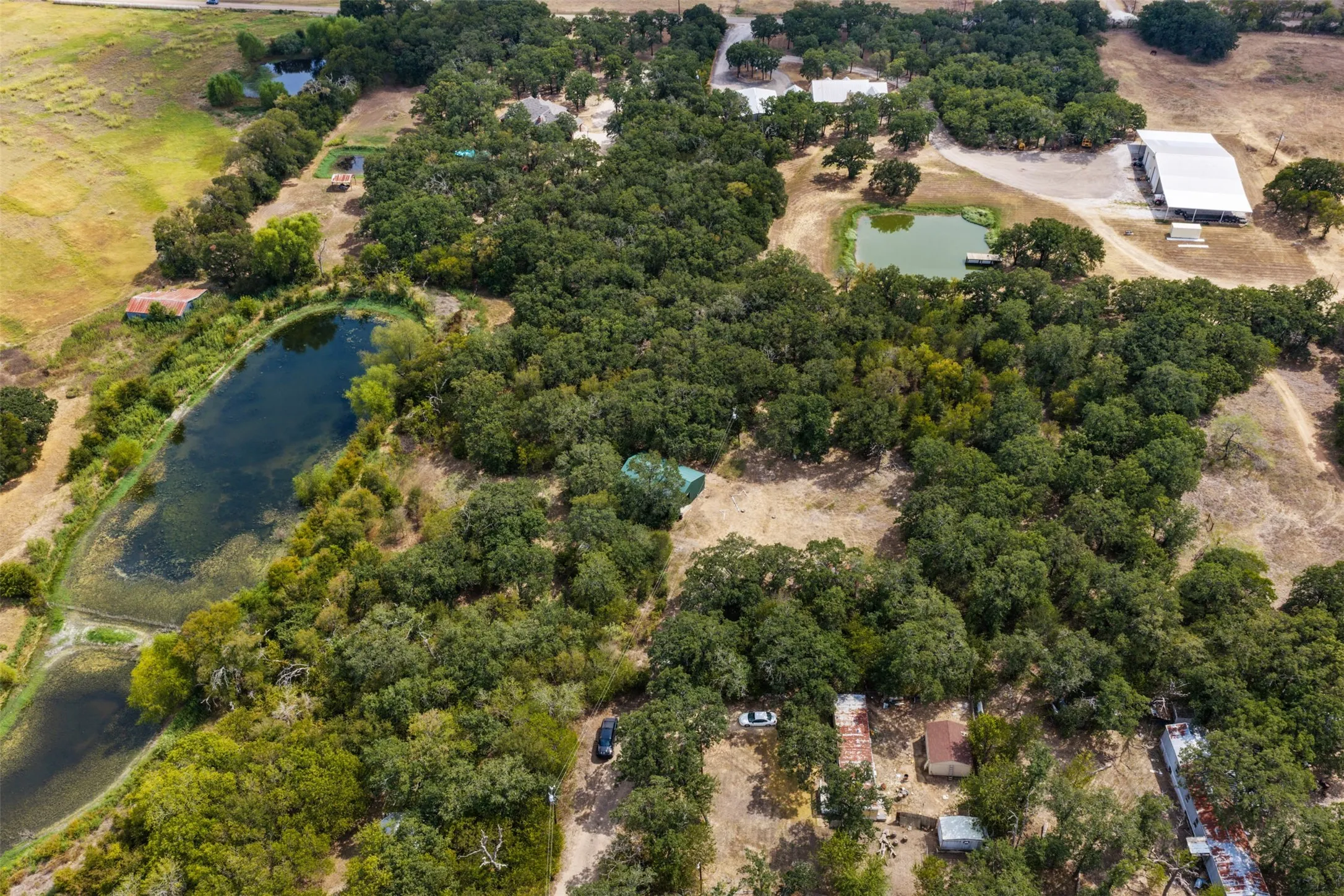 Expansive property featuring mature trees, multiple ponds, and a large metal-roofed structure