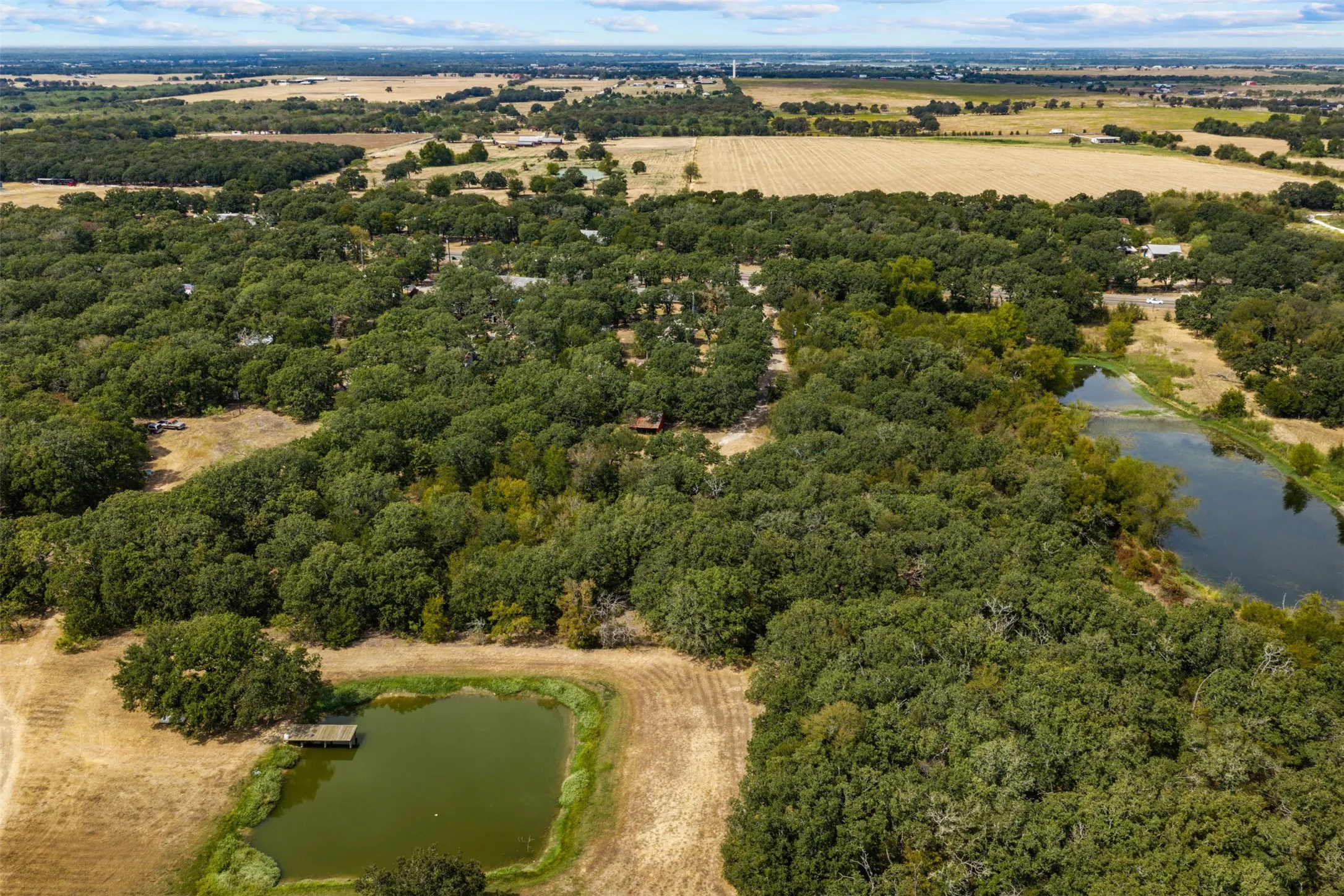 Expansive acreage featuring abundant mature trees, two distinct ponds, and open fields