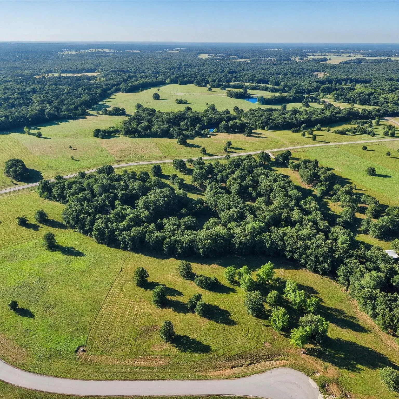 Unimproved Land For Sale in Navarro County , Lot 34 Admiral Shores, Streetman, Texas 75859, 0, 0, Garage spaces, 0 Sqft, built in 0, mls#21374461, Real Estate Agent in Streetman, Homes For Sale in Navarro county, Homes For Sale in Streetman, Realtor in Streetman Texas, Real Estate Brokerage Independent Realty Texas, Luminita Cordes Realtor