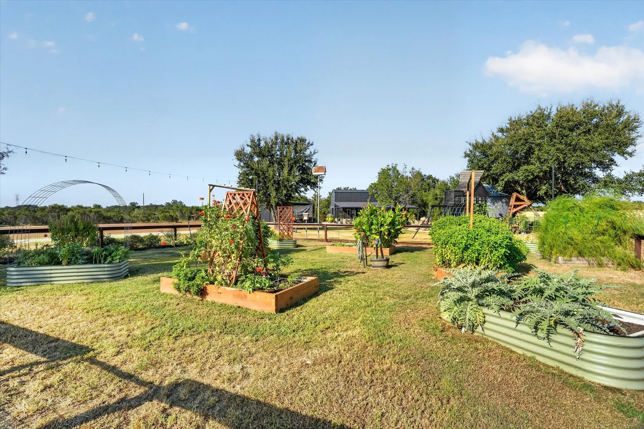 Expansive outdoor space featuring multiple raised garden beds, established plantings, string lighting, and mature trees