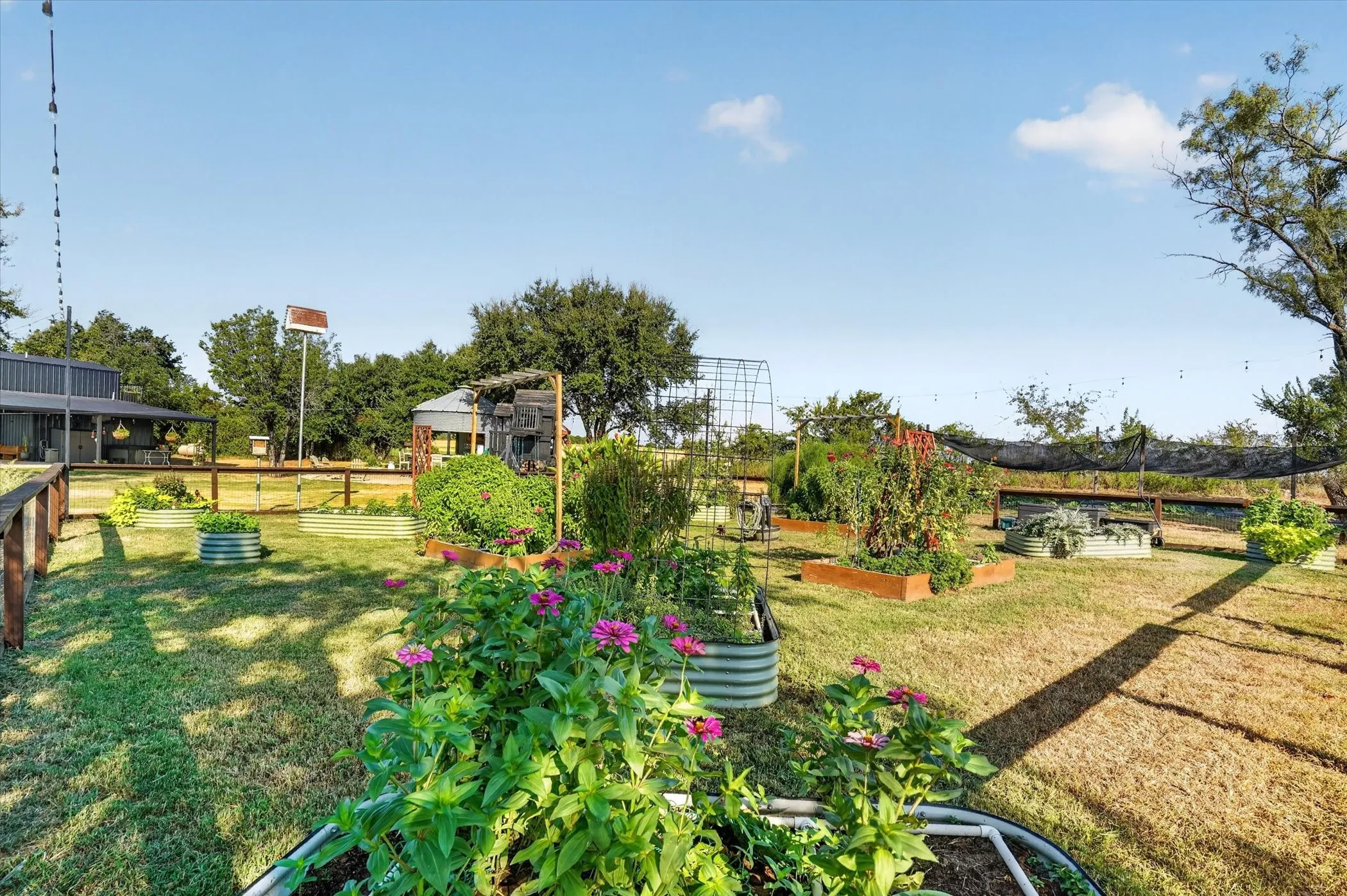 Expansive backyard featuring multiple raised garden beds, established plantings, a perimeter fence, and a distant outbuilding