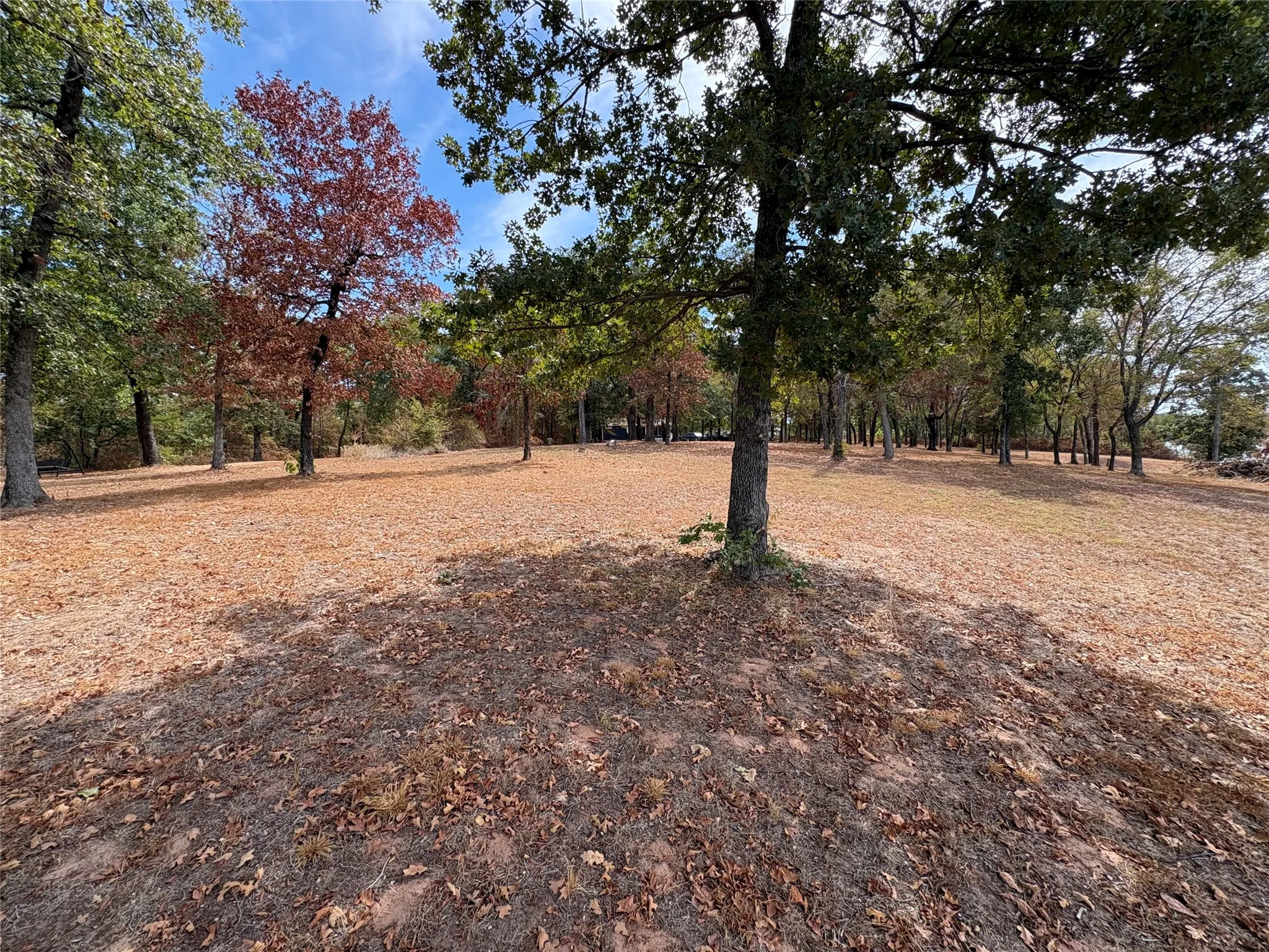 Single Family Residence For Sale in Wood County , 927 Indian Gap, Quitman, Texas 75783, 2 Bedroom, 2 Bathroom, Garage spaces, 750 Sqft, built in 2020, mls#21397794, Real Estate Agent in Quitman, Homes For Sale in Wood county, Homes For Sale in Quitman, Realtor in Quitman Texas, Real Estate Brokerage Independent Realty Texas, Luminita Cordes Realtor