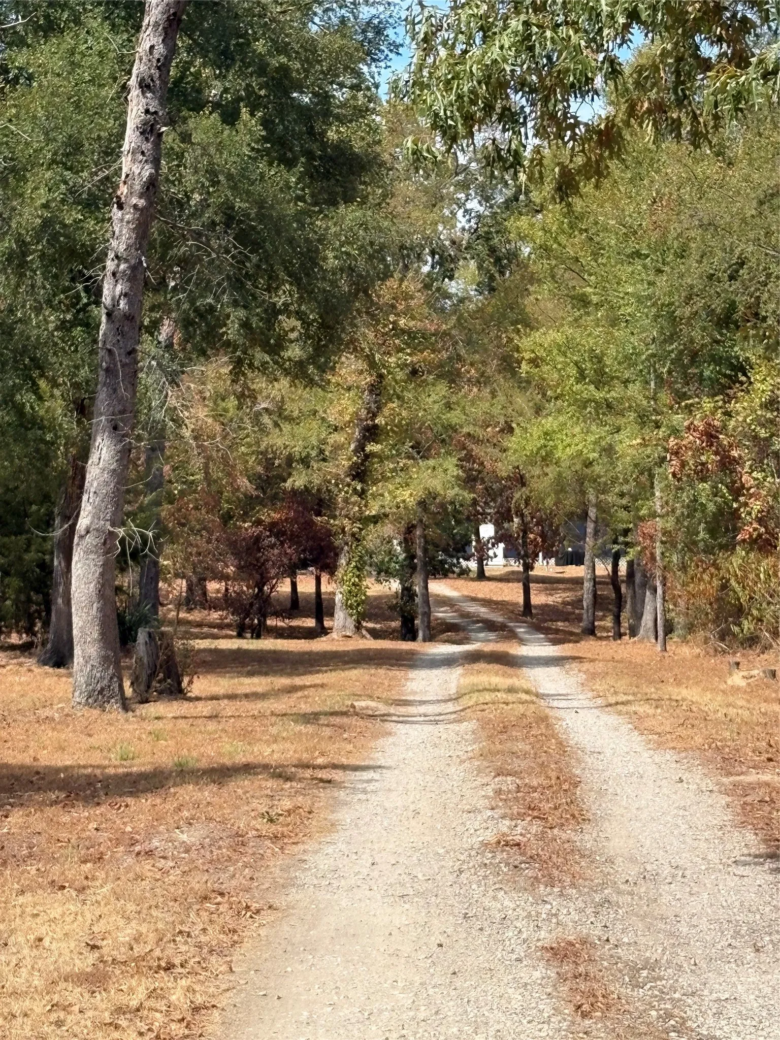 Single Family Residence For Sale in Wood County , 927 Indian Gap, Quitman, Texas 75783, 2 Bedroom, 2 Bathroom, Garage spaces, 750 Sqft, built in 2020, mls#21397794, Real Estate Agent in Quitman, Homes For Sale in Wood county, Homes For Sale in Quitman, Realtor in Quitman Texas, Real Estate Brokerage Independent Realty Texas, Luminita Cordes Realtor