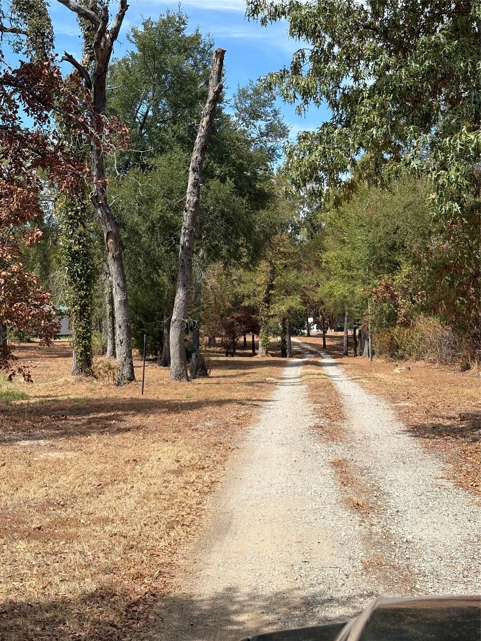 Single Family Residence For Sale in Wood County , 927 Indian Gap, Quitman, Texas 75783, 2 Bedroom, 2 Bathroom, Garage spaces, 750 Sqft, built in 2020, mls#21397794, Real Estate Agent in Quitman, Homes For Sale in Wood county, Homes For Sale in Quitman, Realtor in Quitman Texas, Real Estate Brokerage Independent Realty Texas, Luminita Cordes Realtor
