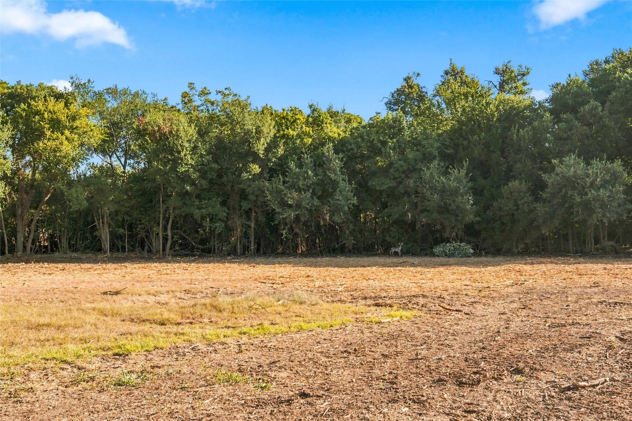 Improved Land For Sale in Bosque County , 313 N Avenue Q, Clifton, Texas 76634, 0, 0, Garage spaces, 0 Sqft, built in 0, mls#21373775, Real Estate Agent in Clifton, Homes For Sale in Bosque county, Homes For Sale in Clifton, Realtor in Clifton Texas, Real Estate Brokerage Independent Realty Texas, Luminita Cordes Realtor