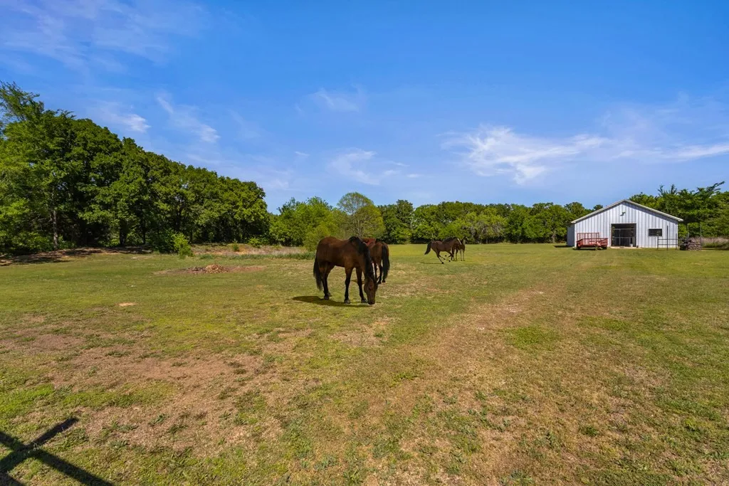 Single Family Residence For Sale in Kaufman County , 17909 Terrace Drive, Kemp, Texas 75143, 4 Bedroom, 3 Bathroom, 3 Garage spaces, 3,476 Sqft, built in 2016, mls#21397893, Real Estate Agent in Kemp, Homes For Sale in Kaufman county, Homes For Sale in Kemp, Realtor in Kemp Texas, Real Estate Brokerage Independent Realty Texas, Luminita Cordes Realtor