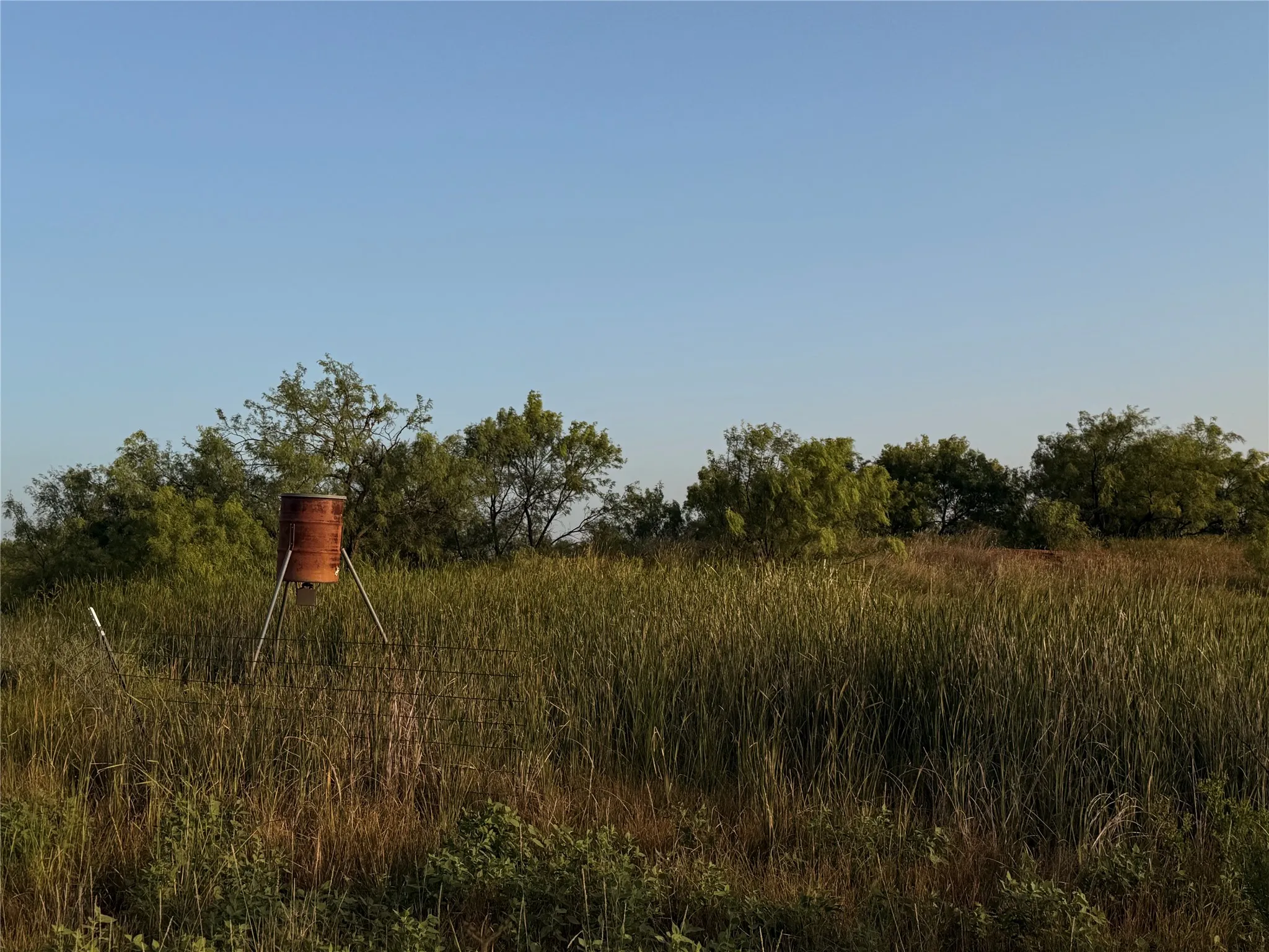 Ranch For Sale in Taylor County , 5725 Farm Market 604, Ovalo, Texas 79567, 0, 0, Garage spaces, 0 Sqft, built in 1934, mls#21397895, Real Estate Agent in Ovalo, Homes For Sale in Taylor county, Homes For Sale in Ovalo, Realtor in Ovalo Texas, Real Estate Brokerage Independent Realty Texas, Luminita Cordes Realtor