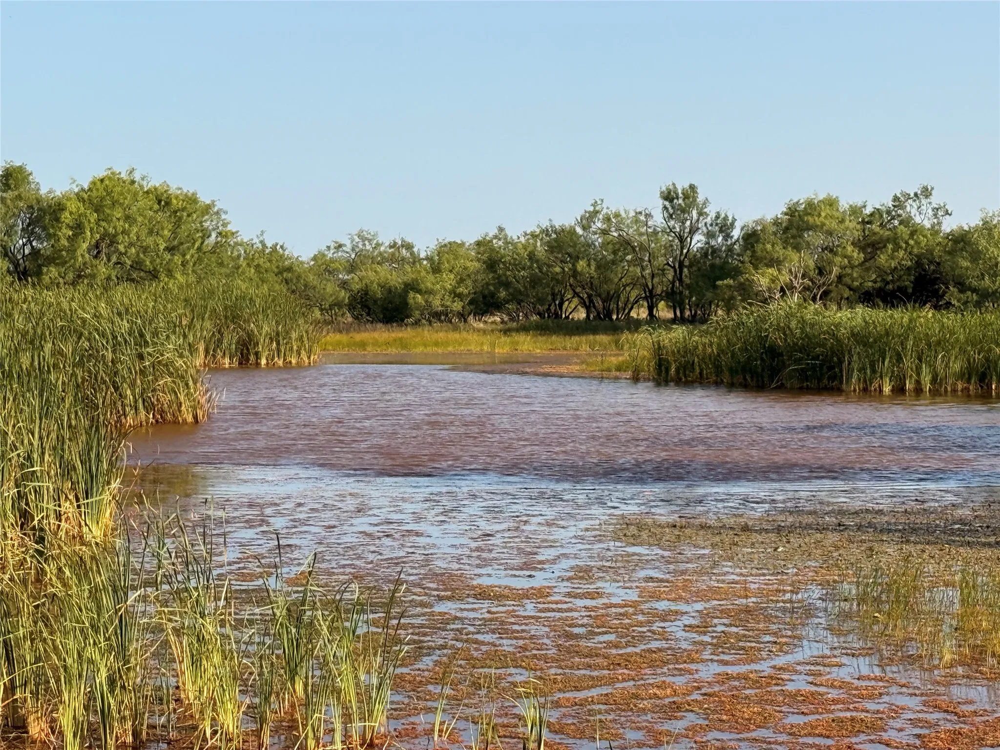 Ranch For Sale in Taylor County , 5725 Farm Market 604, Ovalo, Texas 79567, 0, 0, Garage spaces, 0 Sqft, built in 1934, mls#21397895, Real Estate Agent in Ovalo, Homes For Sale in Taylor county, Homes For Sale in Ovalo, Realtor in Ovalo Texas, Real Estate Brokerage Independent Realty Texas, Luminita Cordes Realtor