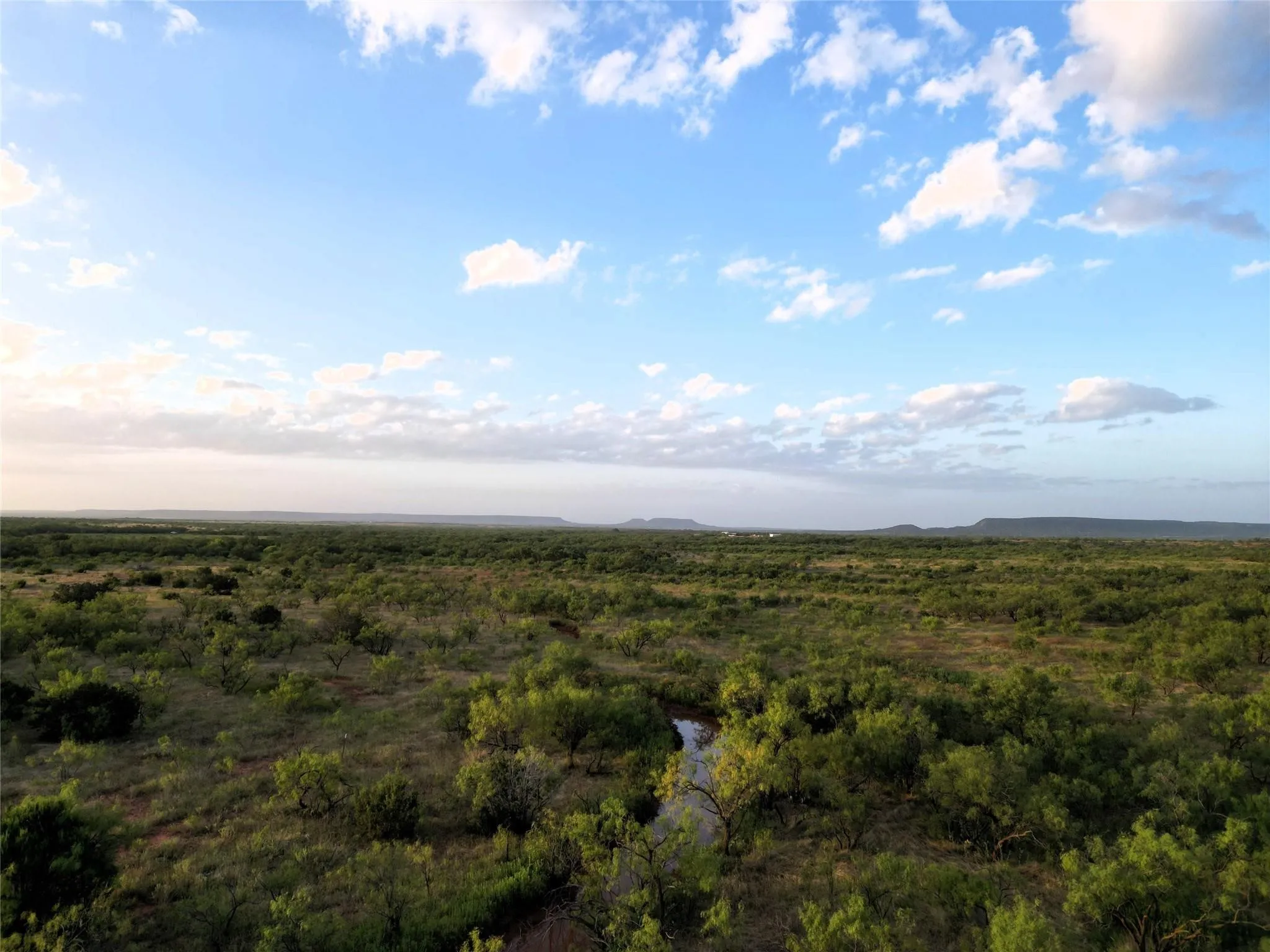 Ranch For Sale in Taylor County , 5725 Farm Market 604, Ovalo, Texas 79567, 0, 0, Garage spaces, 0 Sqft, built in 1934, mls#21397895, Real Estate Agent in Ovalo, Homes For Sale in Taylor county, Homes For Sale in Ovalo, Realtor in Ovalo Texas, Real Estate Brokerage Independent Realty Texas, Luminita Cordes Realtor
