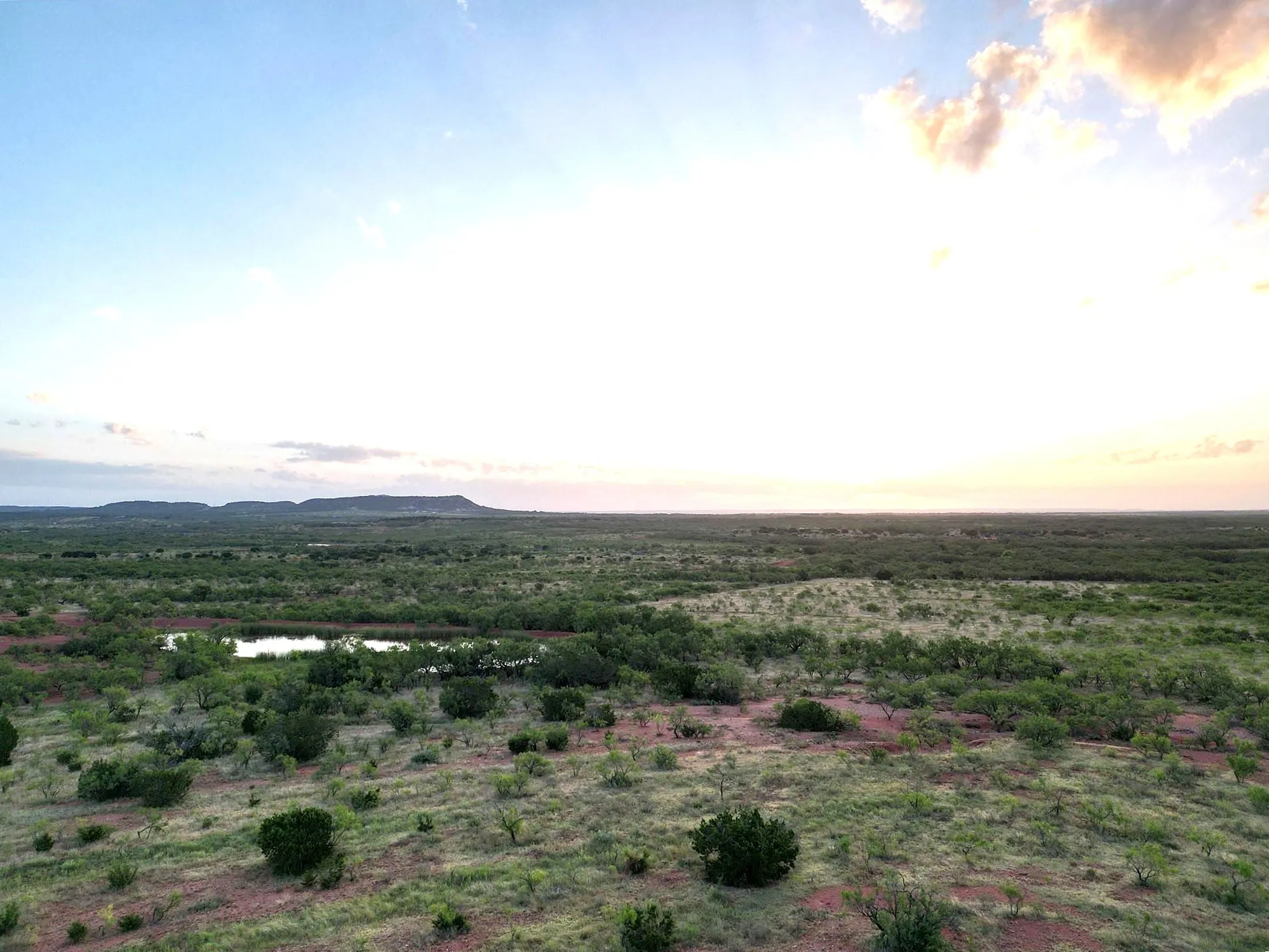 Ranch For Sale in Taylor County , 5725 Farm Market 604, Ovalo, Texas 79567, 0, 0, Garage spaces, 0 Sqft, built in 1934, mls#21397895, Real Estate Agent in Ovalo, Homes For Sale in Taylor county, Homes For Sale in Ovalo, Realtor in Ovalo Texas, Real Estate Brokerage Independent Realty Texas, Luminita Cordes Realtor
