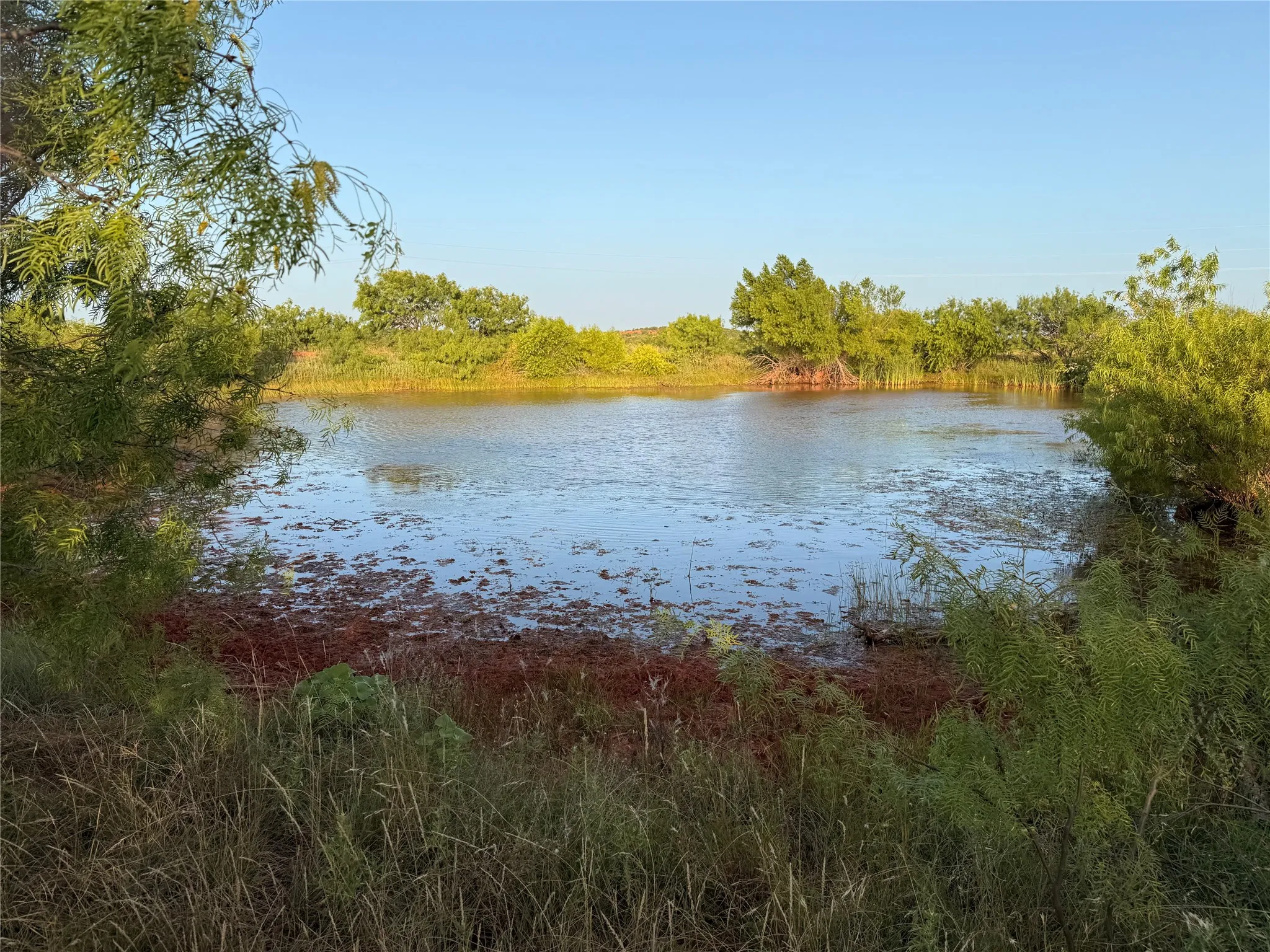 Ranch For Sale in Taylor County , 5725 Farm Market 604, Ovalo, Texas 79567, 0, 0, Garage spaces, 0 Sqft, built in 1934, mls#21397895, Real Estate Agent in Ovalo, Homes For Sale in Taylor county, Homes For Sale in Ovalo, Realtor in Ovalo Texas, Real Estate Brokerage Independent Realty Texas, Luminita Cordes Realtor