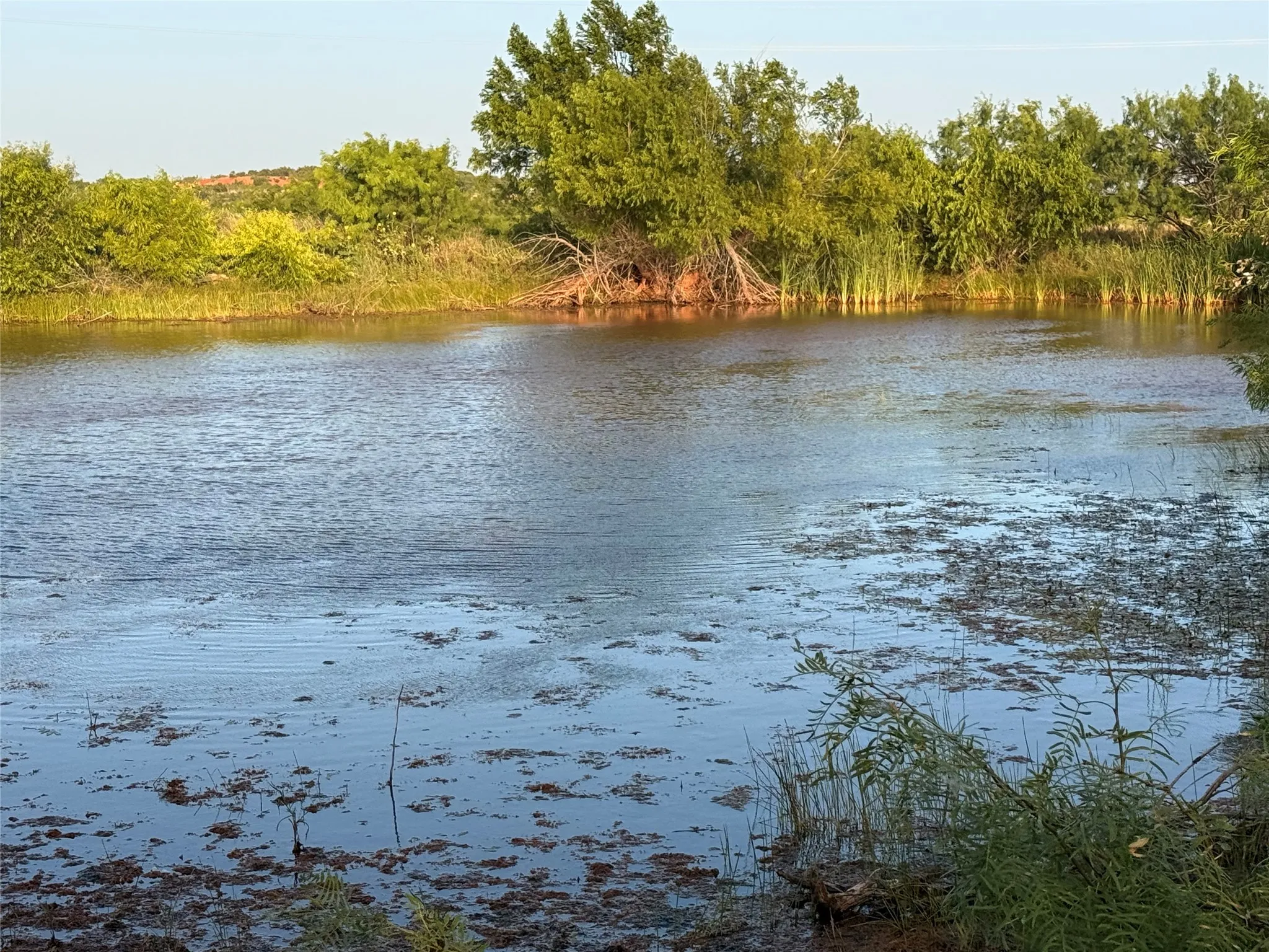 Ranch For Sale in Taylor County , 5725 Farm Market 604, Ovalo, Texas 79567, 0, 0, Garage spaces, 0 Sqft, built in 1934, mls#21397895, Real Estate Agent in Ovalo, Homes For Sale in Taylor county, Homes For Sale in Ovalo, Realtor in Ovalo Texas, Real Estate Brokerage Independent Realty Texas, Luminita Cordes Realtor