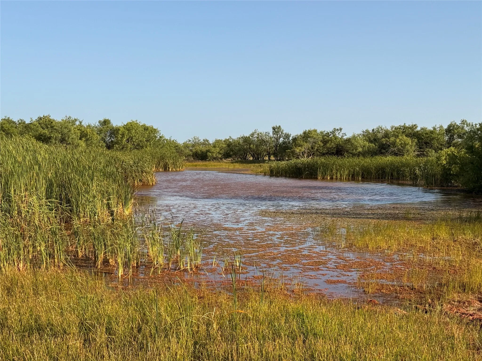 Ranch For Sale in Taylor County , 5725 Farm Market 604, Ovalo, Texas 79567, 0, 0, Garage spaces, 0 Sqft, built in 1934, mls#21397895, Real Estate Agent in Ovalo, Homes For Sale in Taylor county, Homes For Sale in Ovalo, Realtor in Ovalo Texas, Real Estate Brokerage Independent Realty Texas, Luminita Cordes Realtor