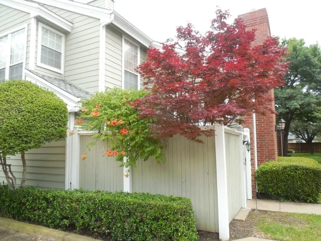 Condominium For Rent in Collin County , 6220 Bentwood Trail 1401, Dallas, Texas 75252, 1 Bedroom, 1 Bathroom, 1 Garage spaces, 610 Sqft, built in 1984, mls#21397909, Real Estate Agent in Dallas, Homes For Rent in Collin county, Homes For Rent in Dallas, Realtor in Dallas Texas, Real Estate Brokerage Independent Realty Texas, Luminita Cordes Realtor