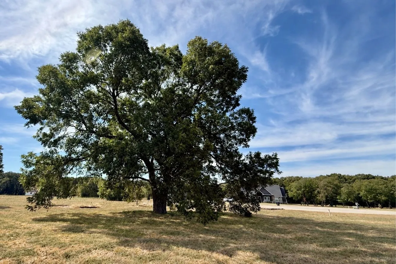 Unimproved Land For Sale in Navarro County , Lot 381 Waverunner, Corsicana, Texas 75109, 0, 0, Garage spaces, 0 Sqft, built in 0, mls#21395408, Real Estate Agent in Corsicana, Homes For Sale in Navarro county, Homes For Sale in Corsicana, Realtor in Corsicana Texas, Real Estate Brokerage Independent Realty Texas, Luminita Cordes Realtor