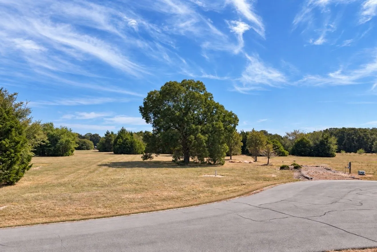 Unimproved Land For Sale in Navarro County , Lot 381 Waverunner, Corsicana, Texas 75109, 0, 0, Garage spaces, 0 Sqft, built in 0, mls#21395408, Real Estate Agent in Corsicana, Homes For Sale in Navarro county, Homes For Sale in Corsicana, Realtor in Corsicana Texas, Real Estate Brokerage Independent Realty Texas, Luminita Cordes Realtor