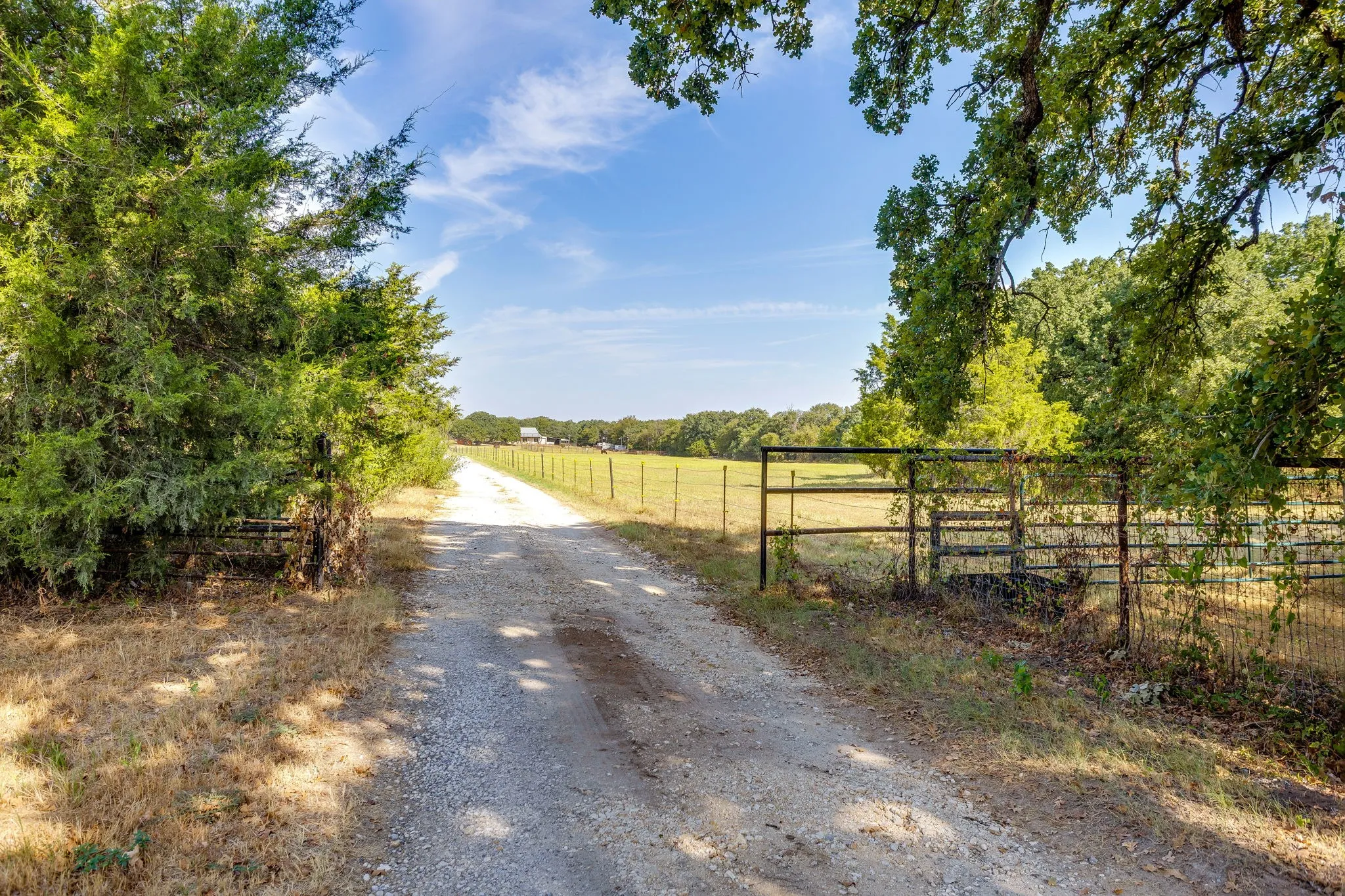 Gravel drive with mature trees and perimeter fencing