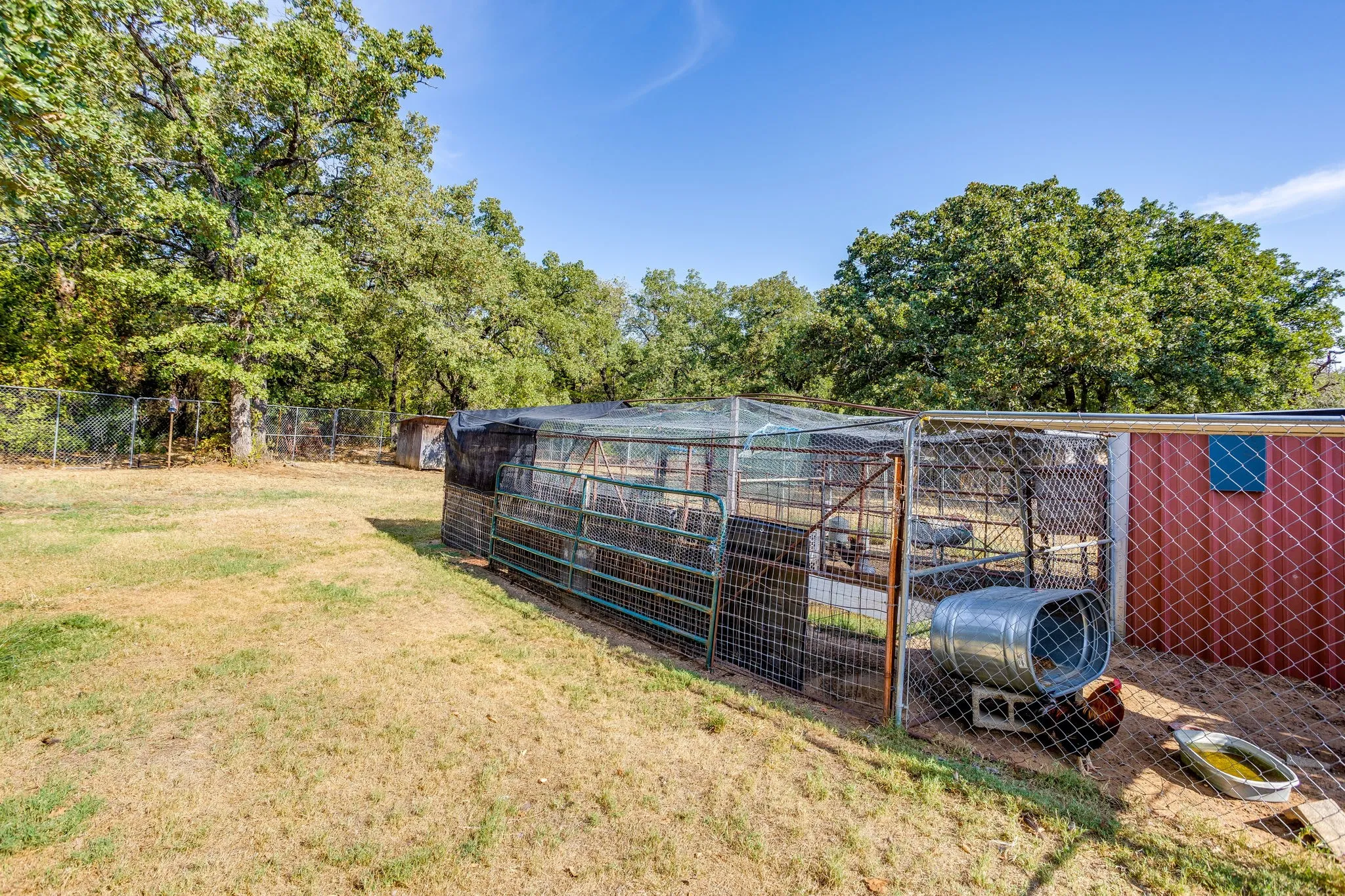 Enclosed animal pen with mesh fencing and a red-sided shed