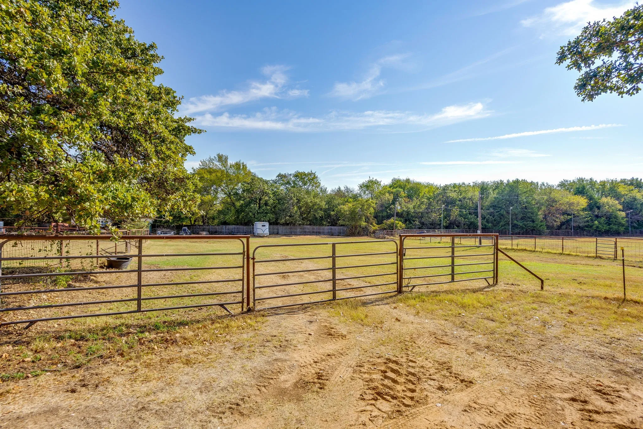 Spacious pasture with sturdy metal ranch fencing, mature tree line bordering the property, and open grassland ideal for equestrian or agricultural use