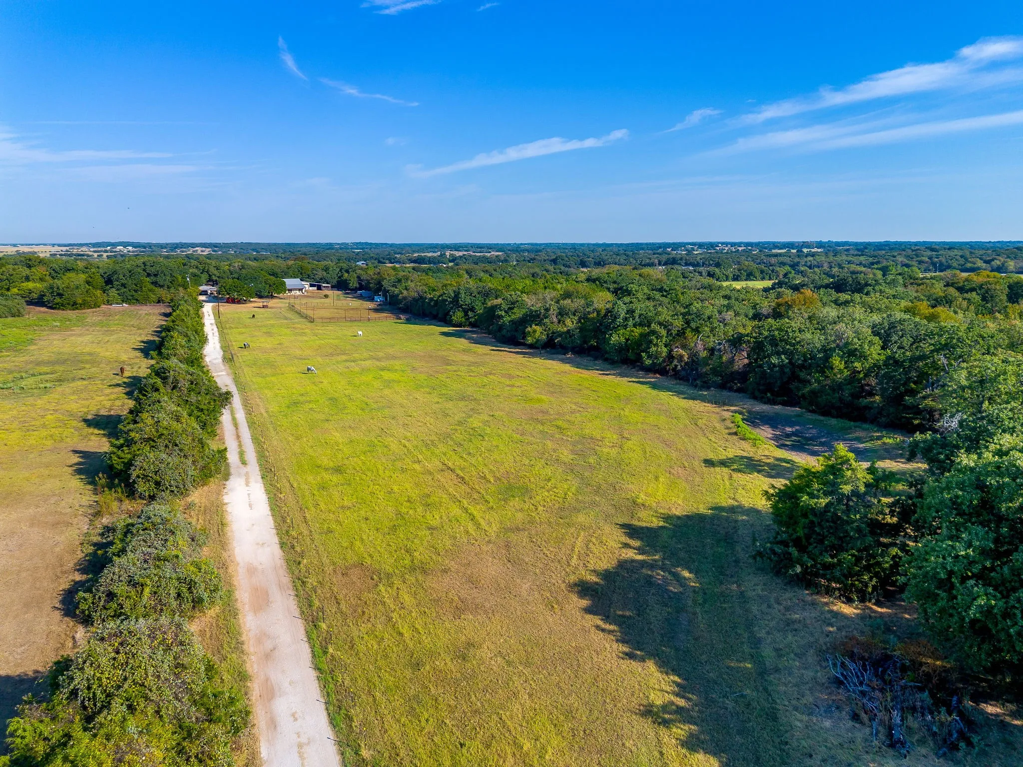 Expansive acreage featuring a long driveway, open fields, and mature tree lines