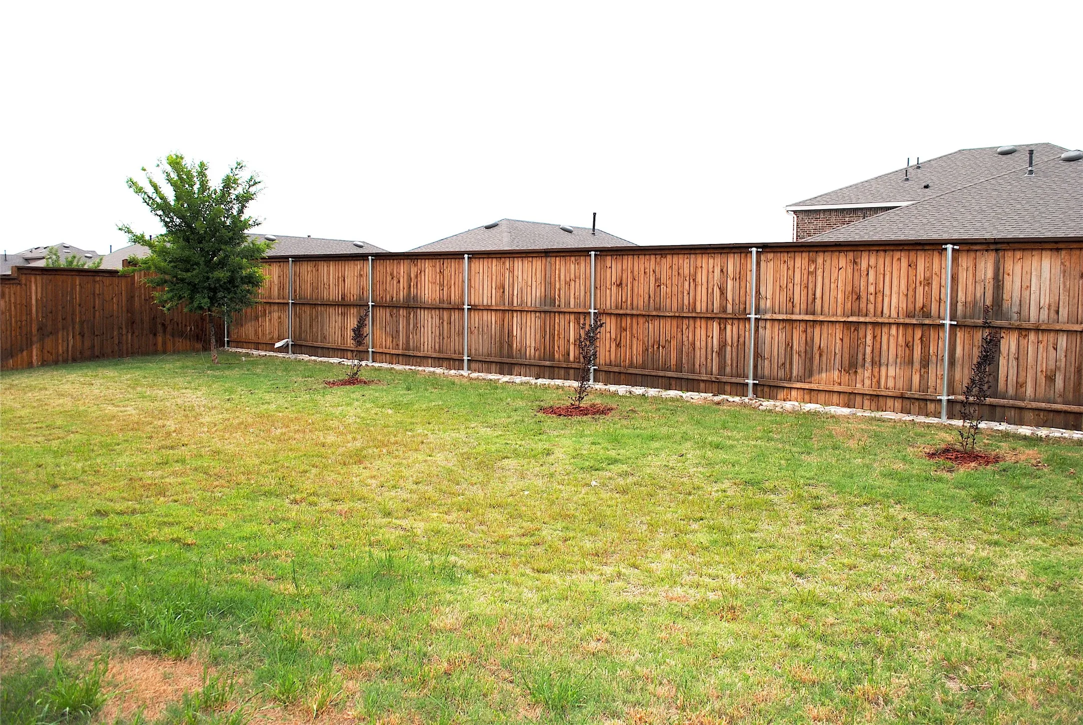 Expansive fenced yard with a manicured lawn, established tree, and young plantings