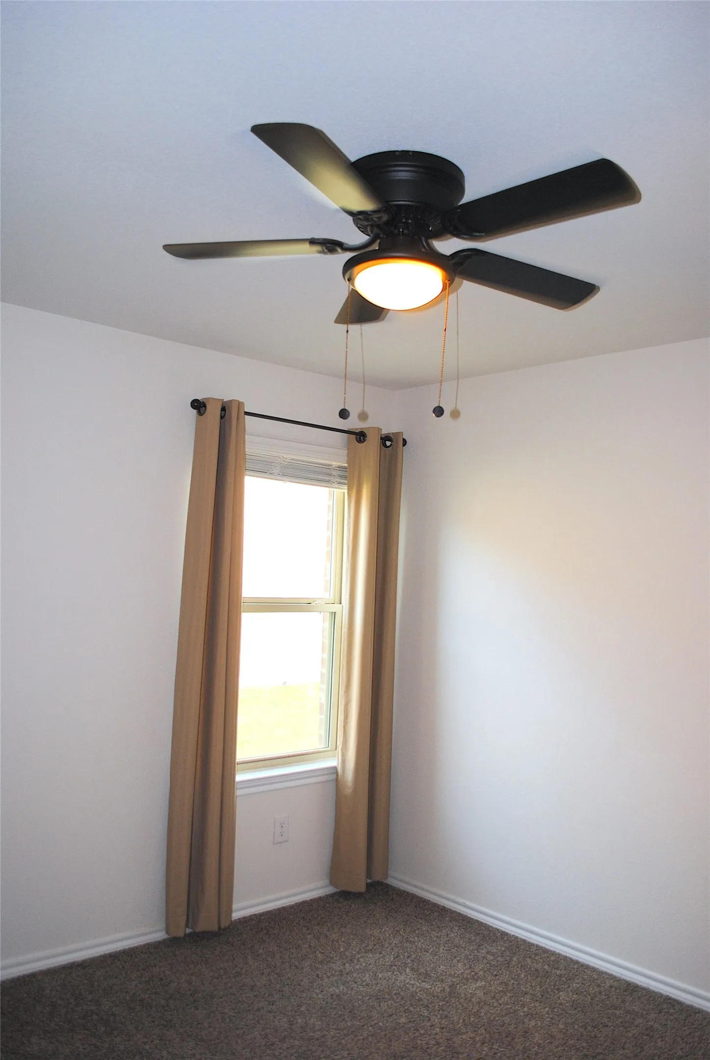 White walls featuring a single window with curtain rods, dark-colored ceiling fan with integrated lighting, and carpet flooring