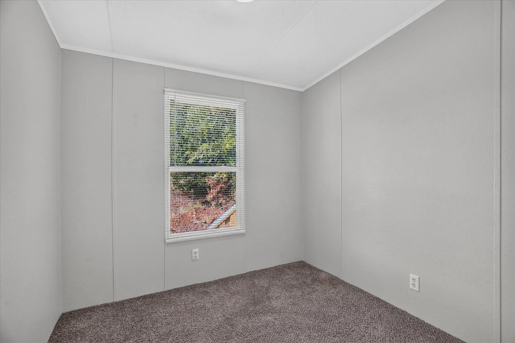 Window with horizontal blinds, light gray wall panels, white trim, textured ceiling, and dark gray carpet