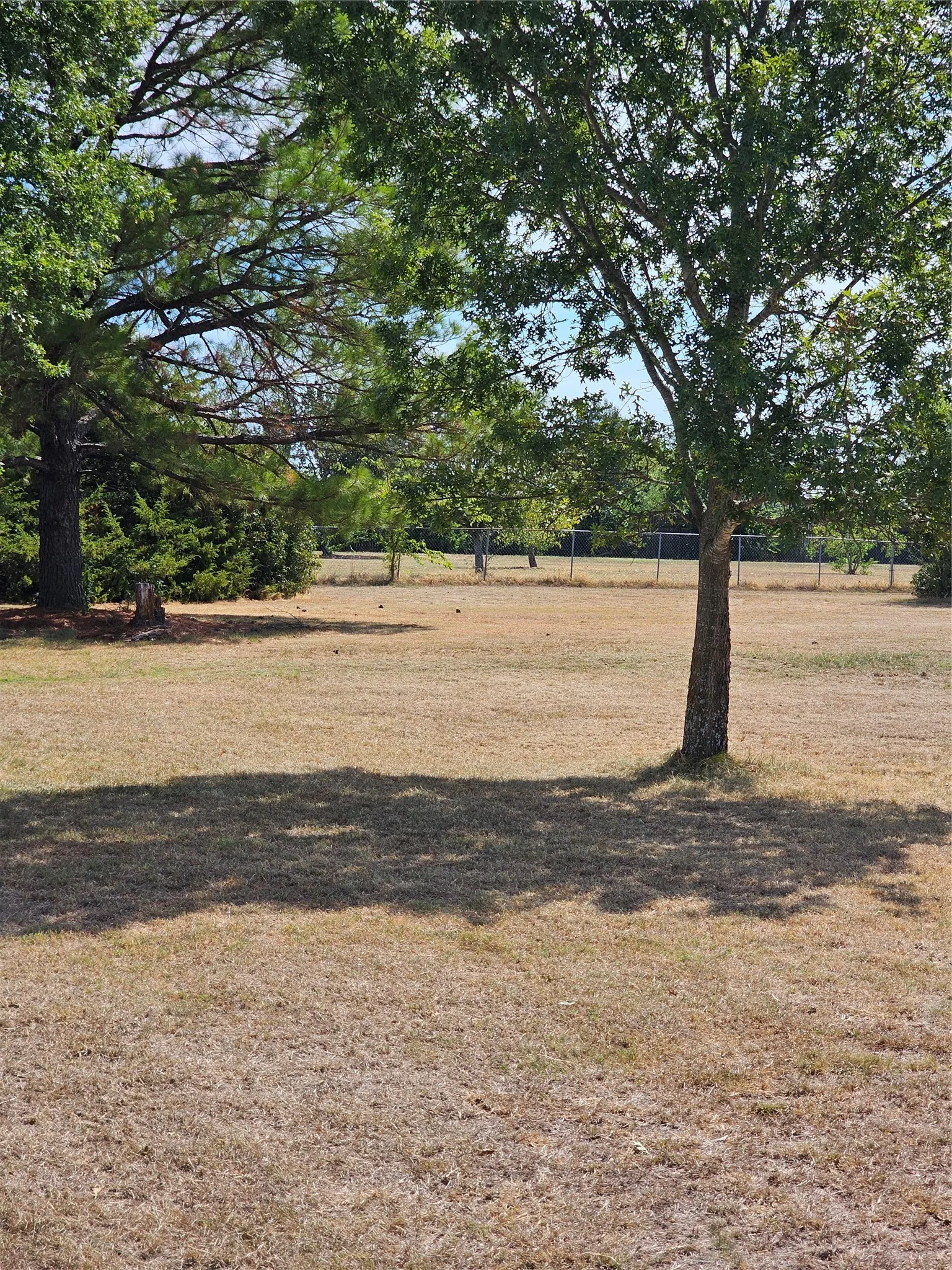 Expansive outdoor area featuring mature trees and open land