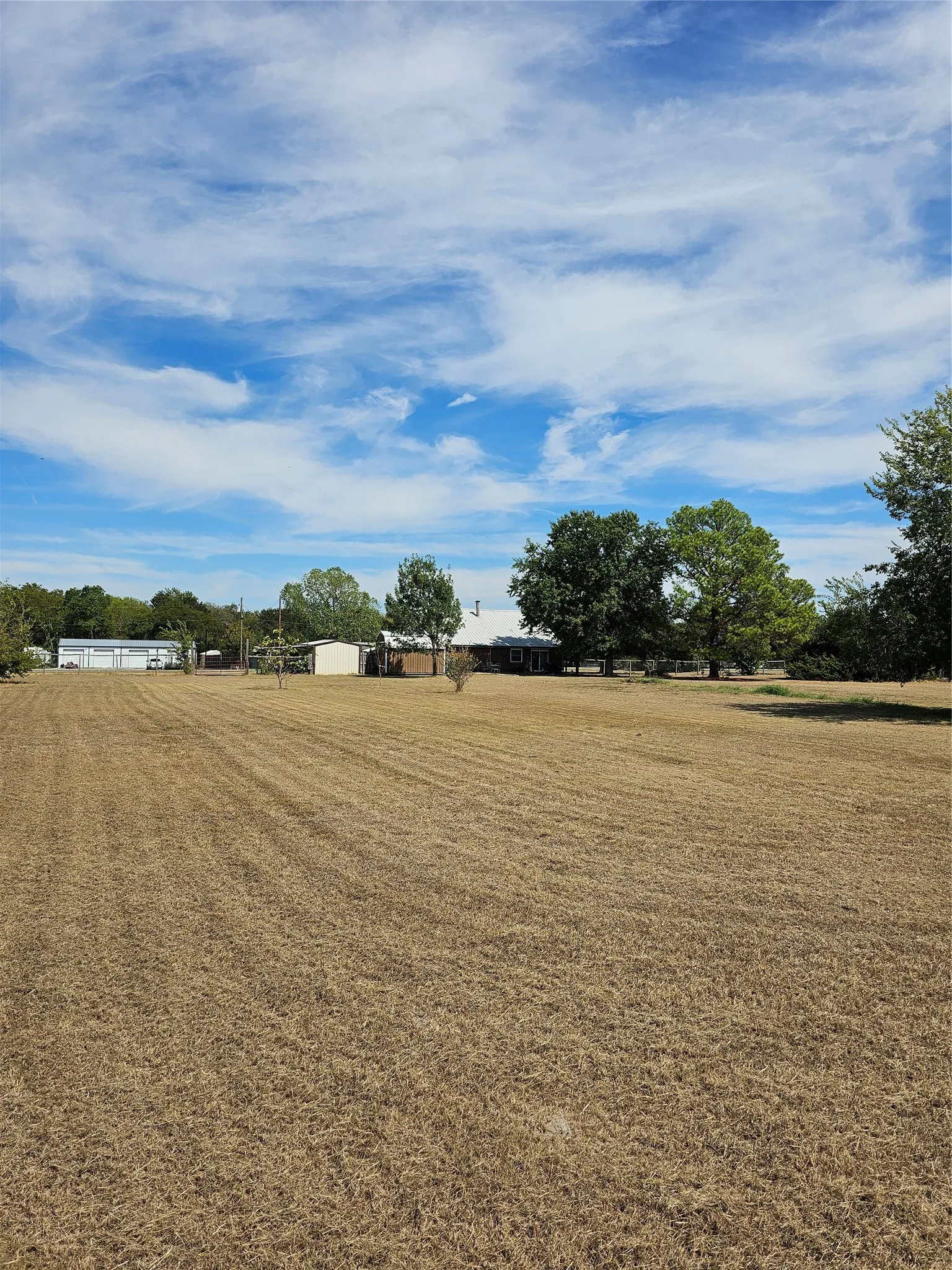 Expansive open field with scattered distant structures and mature trees