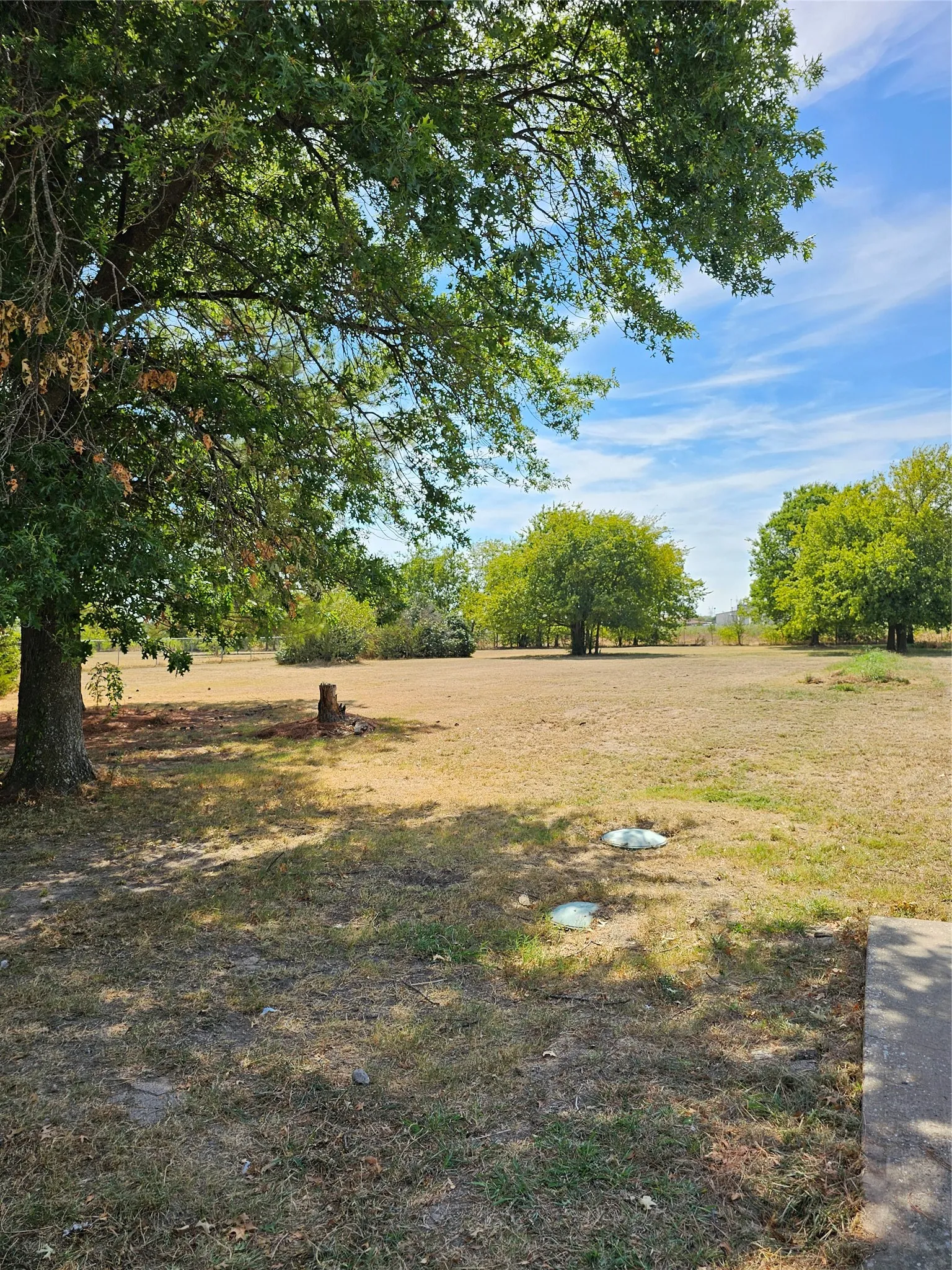 Expansive outdoor space featuring mature trees providing natural shade