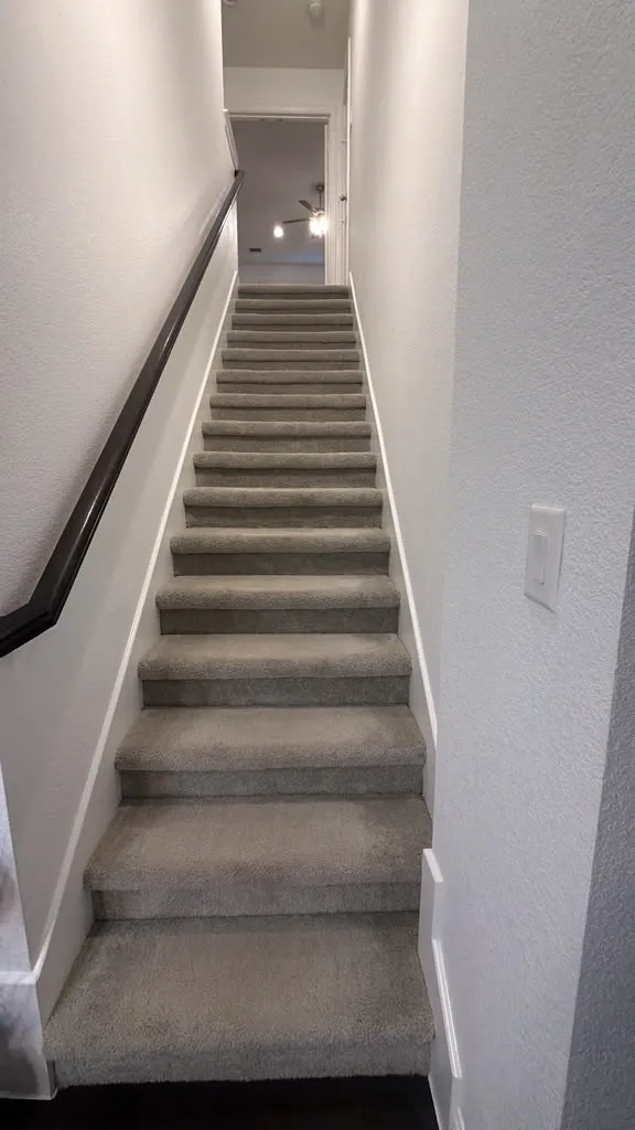 Carpeted staircase with a dark wood-finish handrail and crisp white risers