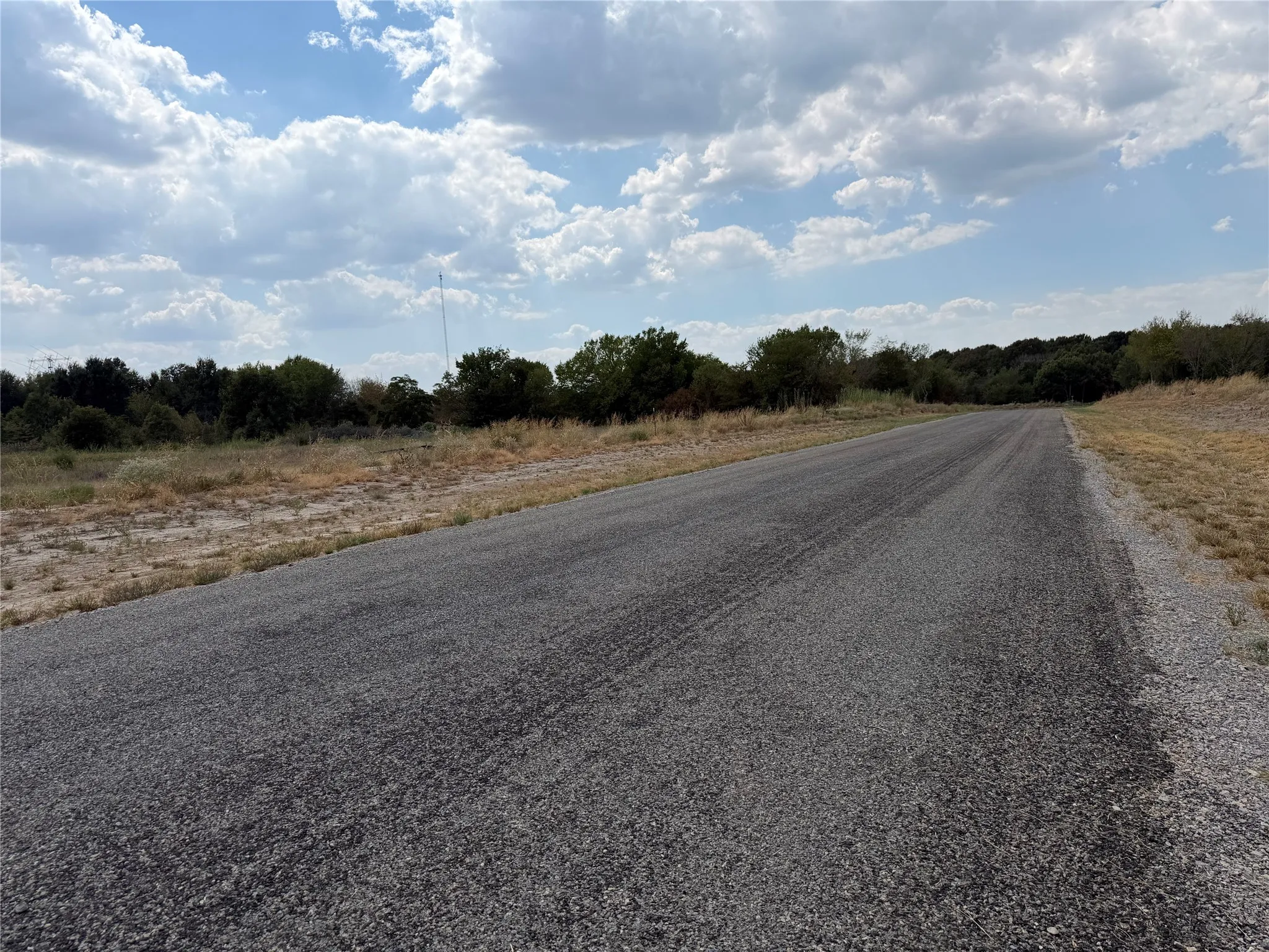 Paved road with natural terrain and distant trees