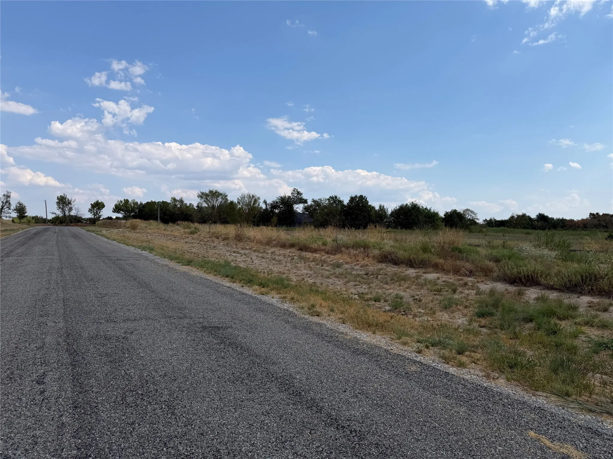 Paved road frontage with open land and established trees