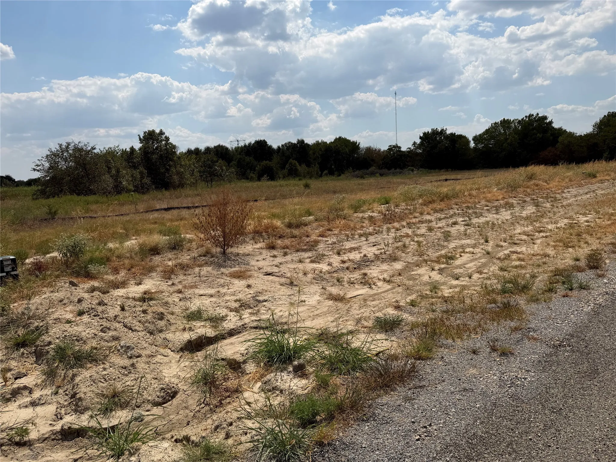 Expansive land parcel featuring natural ground cover, a gravel road, and distant mature trees