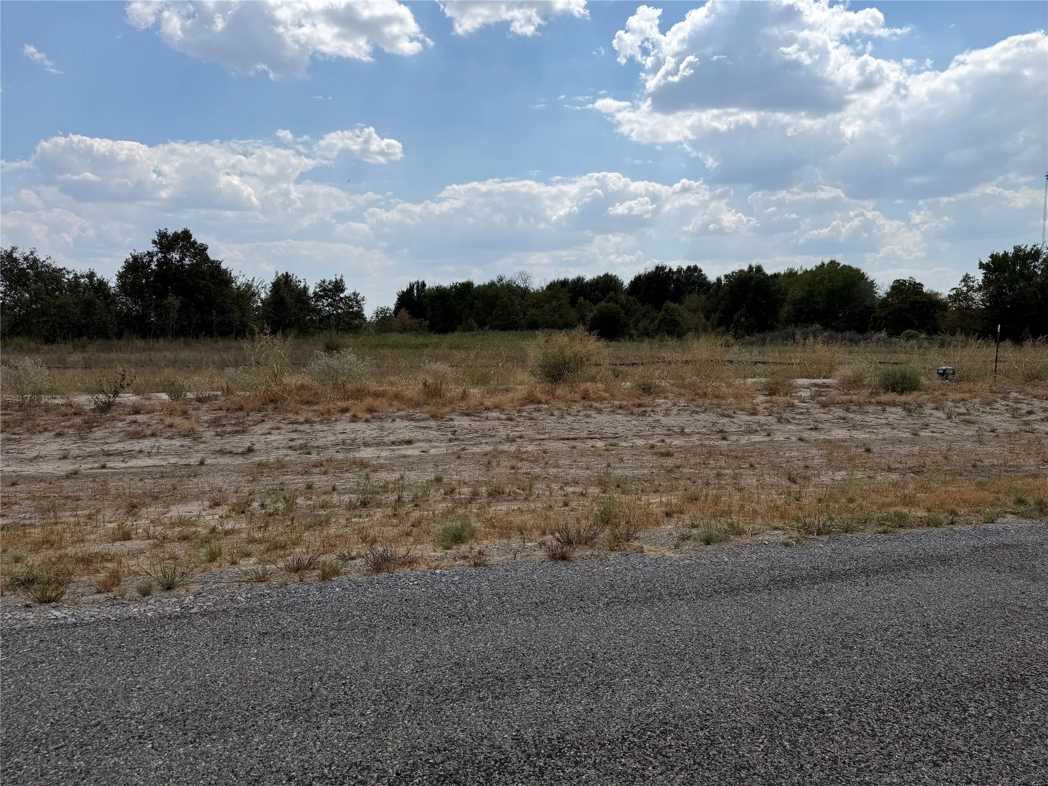 Gravel road frontage bordering a level lot with natural vegetation and distant trees