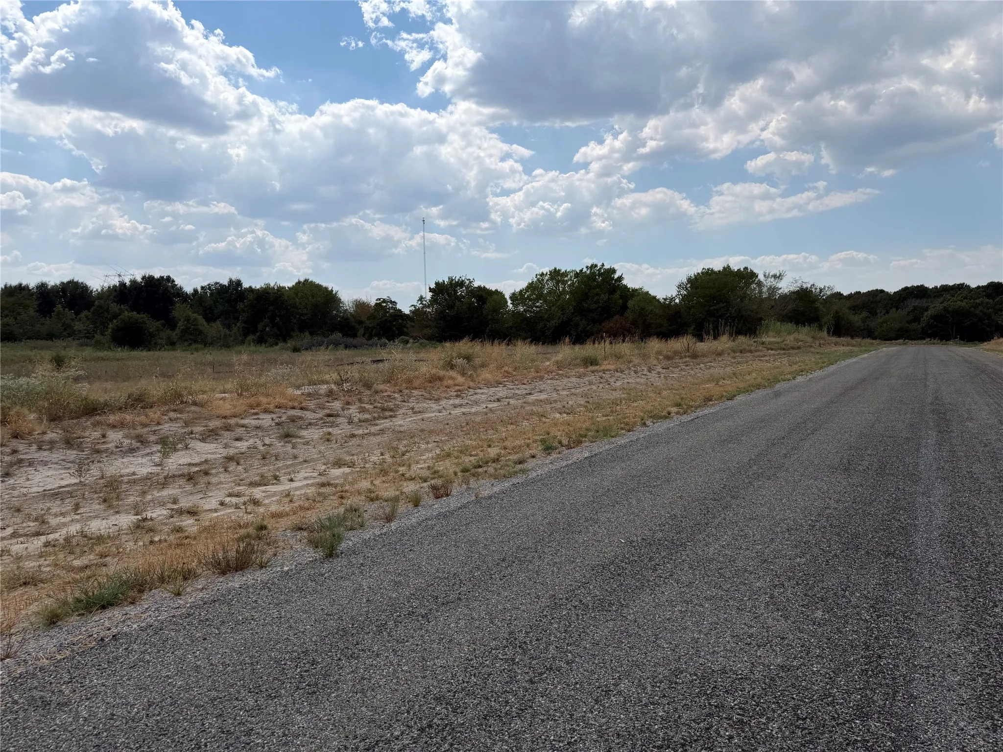 Gravel road bordering undeveloped land with natural vegetation and a tree line