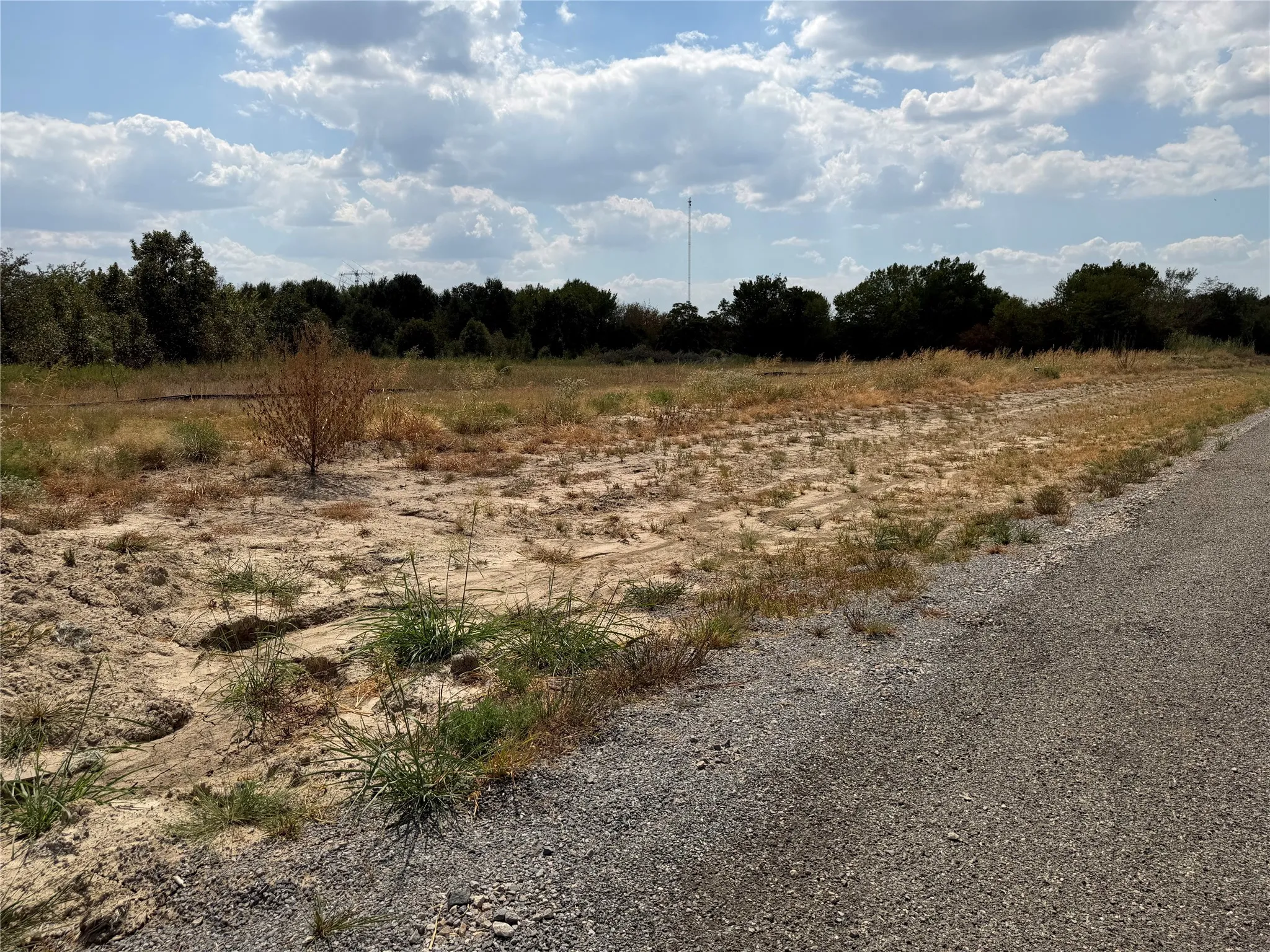 Unimproved Land For Sale in Hunt County , Lot 2 Co Rd 1110, Farmersville, Texas 75442, 0, 0, Garage spaces, 0 Sqft, built in 0, mls#21398032, Real Estate Agent in Farmersville, Homes For Sale in Hunt county, Homes For Sale in Farmersville, Realtor in Farmersville Texas, Real Estate Brokerage Independent Realty Texas, Luminita Cordes Realtor