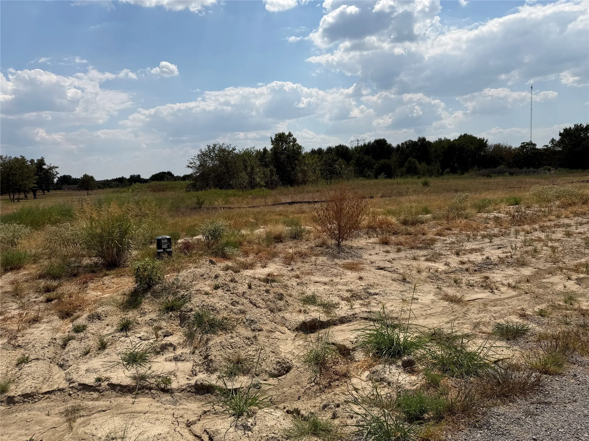 Expansive undeveloped land featuring natural terrain and distant mature trees