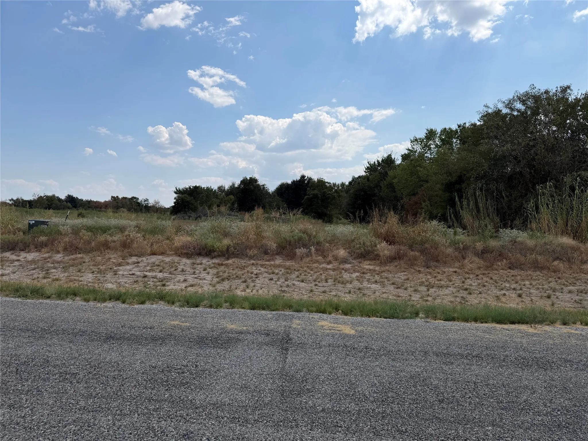 Paved road frontage with an expansive undeveloped lot featuring natural vegetation and mature trees