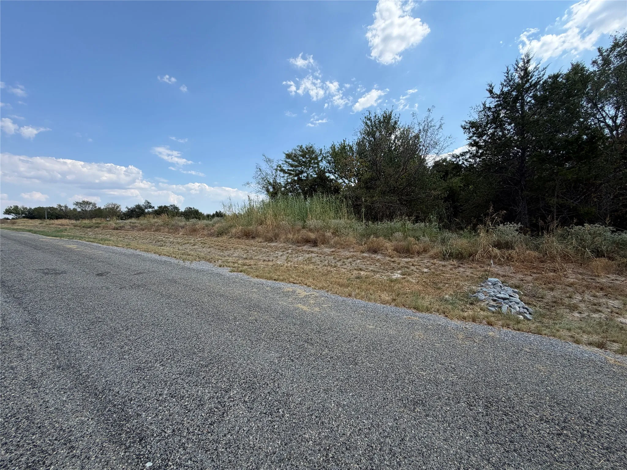 Gravel road alongside a natural land parcel with varied vegetation and mature trees