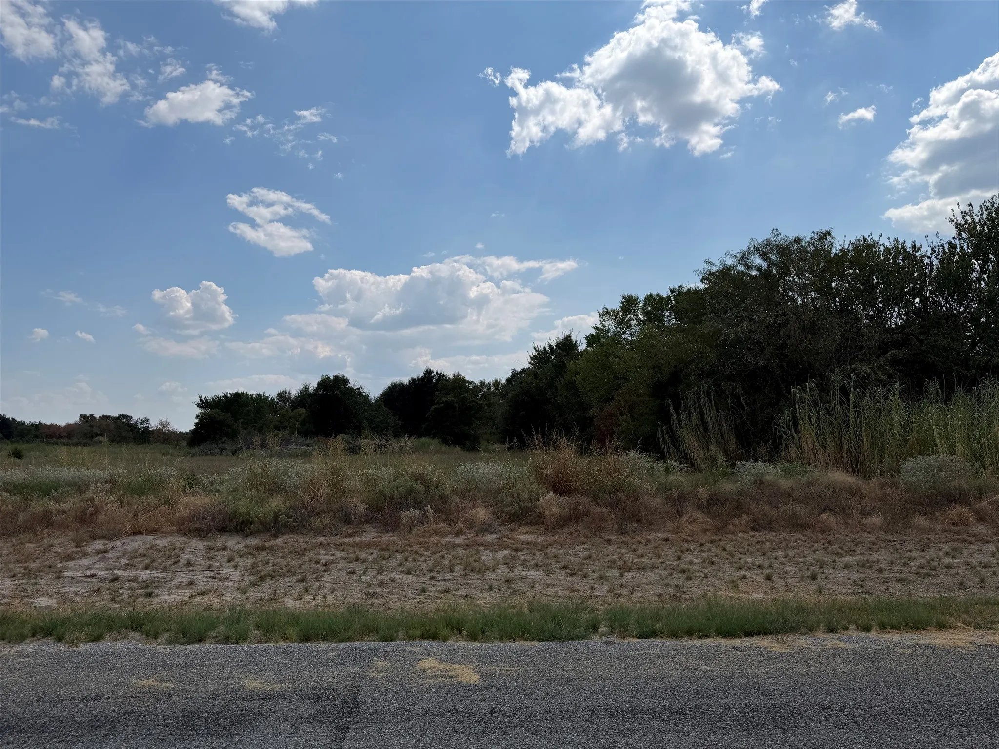 Unimproved Land For Sale in Hunt County , Lot 4 Co Rd 1110, Farmersville, Texas 75442, 0, 0, Garage spaces, 0 Sqft, built in 0, mls#21398070, Real Estate Agent in Farmersville, Homes For Sale in Hunt county, Homes For Sale in Farmersville, Realtor in Farmersville Texas, Real Estate Brokerage Independent Realty Texas, Luminita Cordes Realtor
