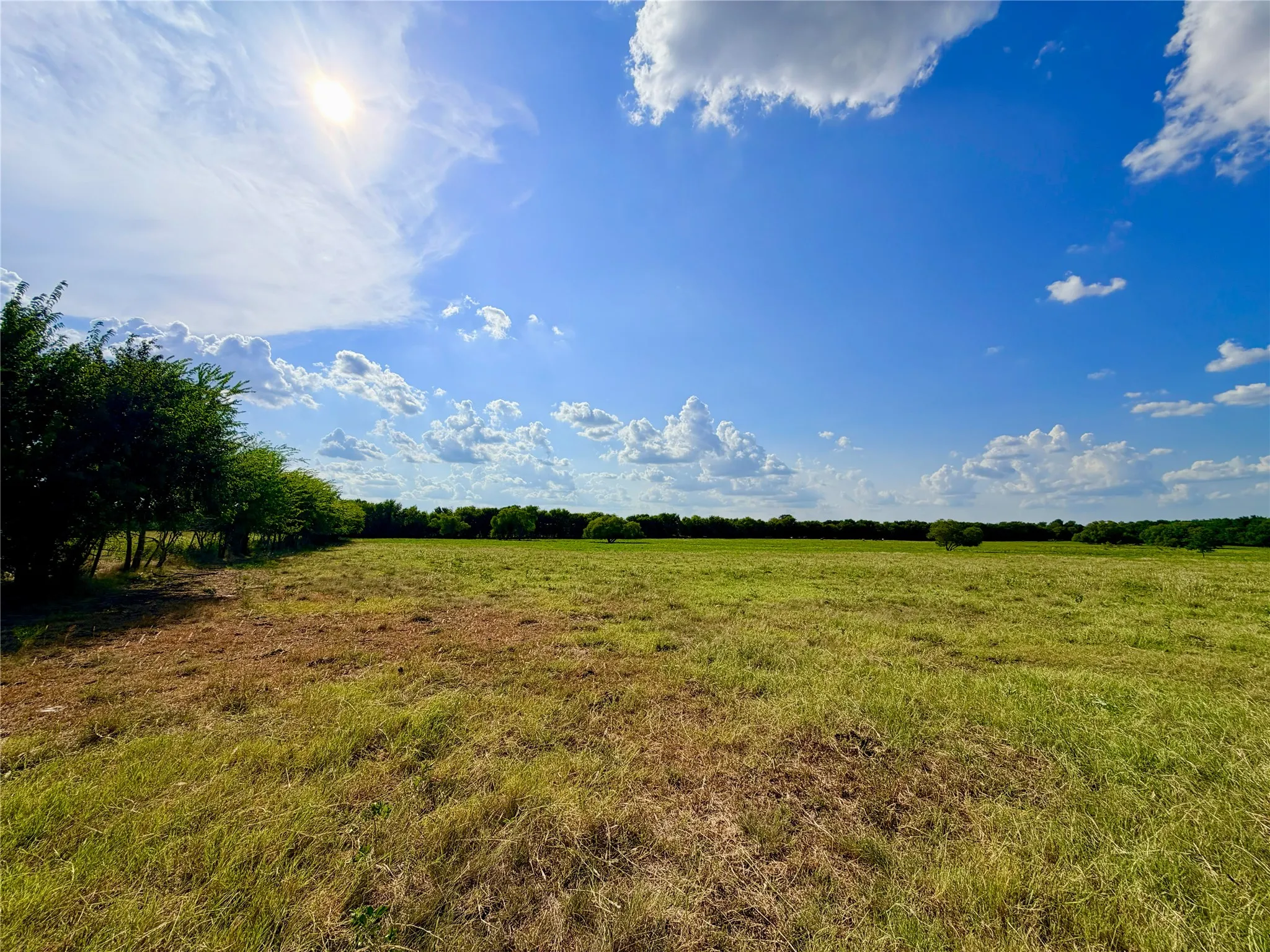 Expansive open land with natural ground cover, bordered by mature trees and a clear blue sky