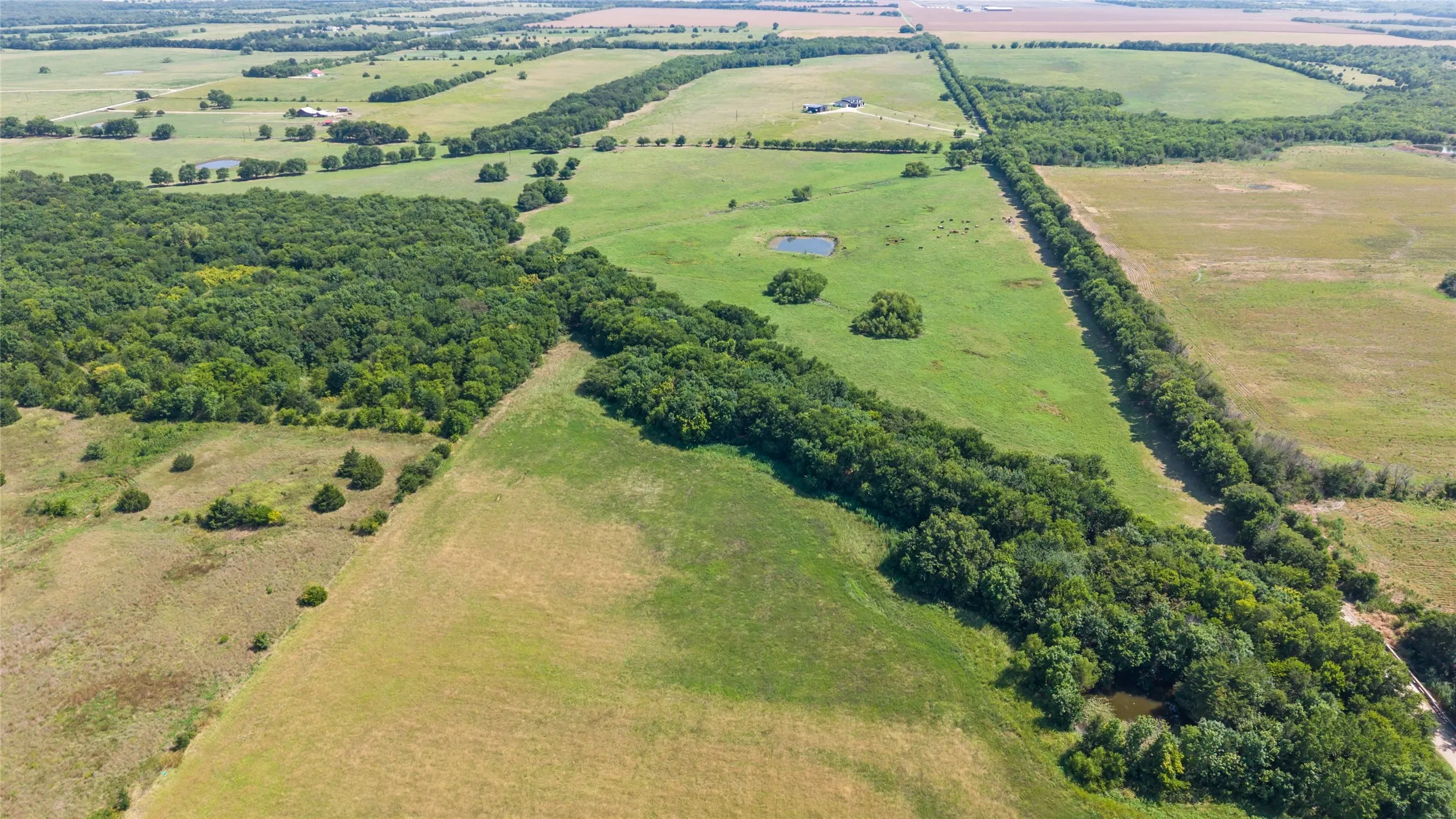 Expansive acreage featuring mature tree lines, multiple ponds, and open fields