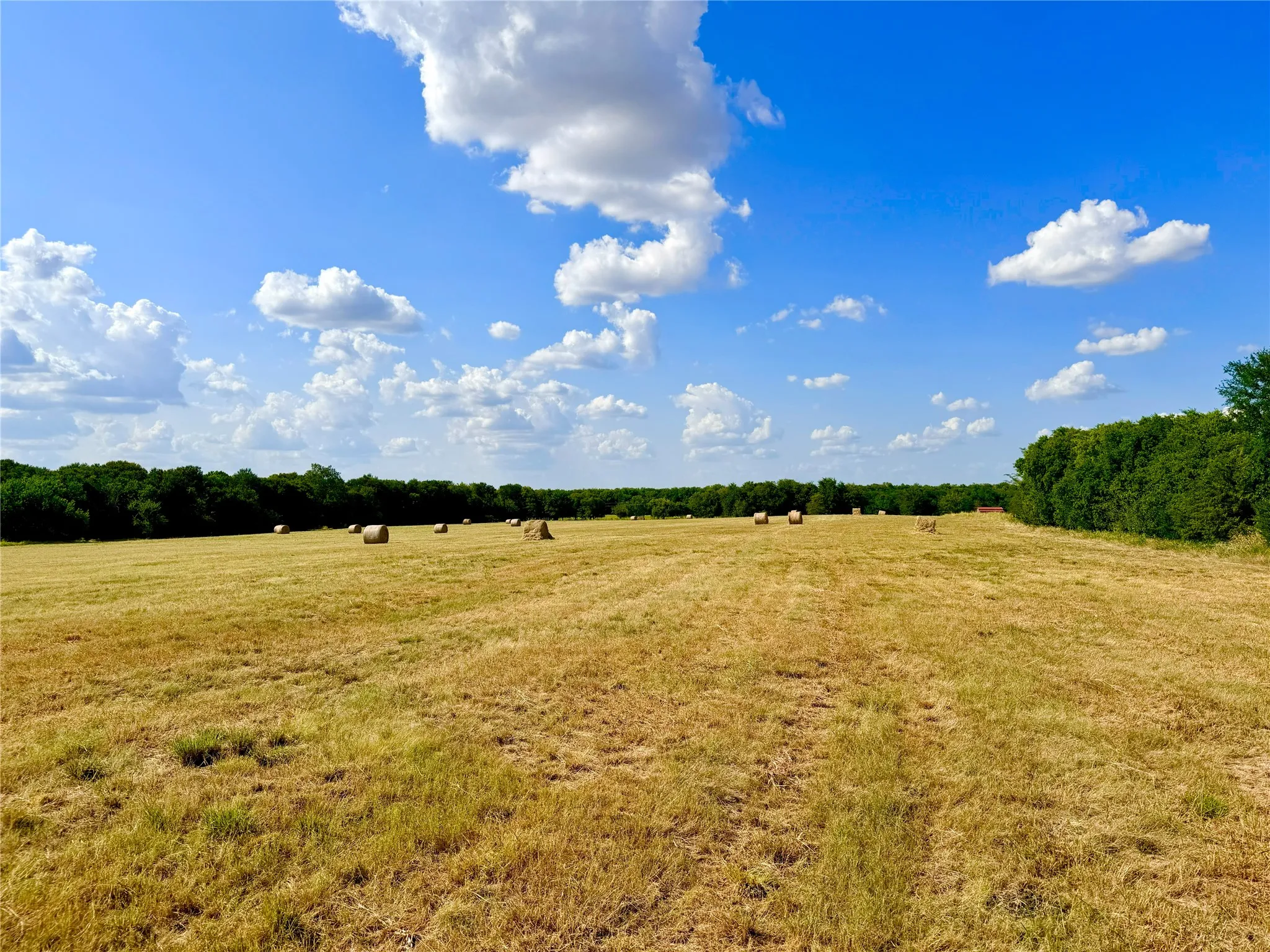 Expansive rural acreage featuring open pastureland with scattered hay bales, mature tree lines framing the perimeter, and clear sightlines across the property under a bright blue sky with cumulus cloud coverage