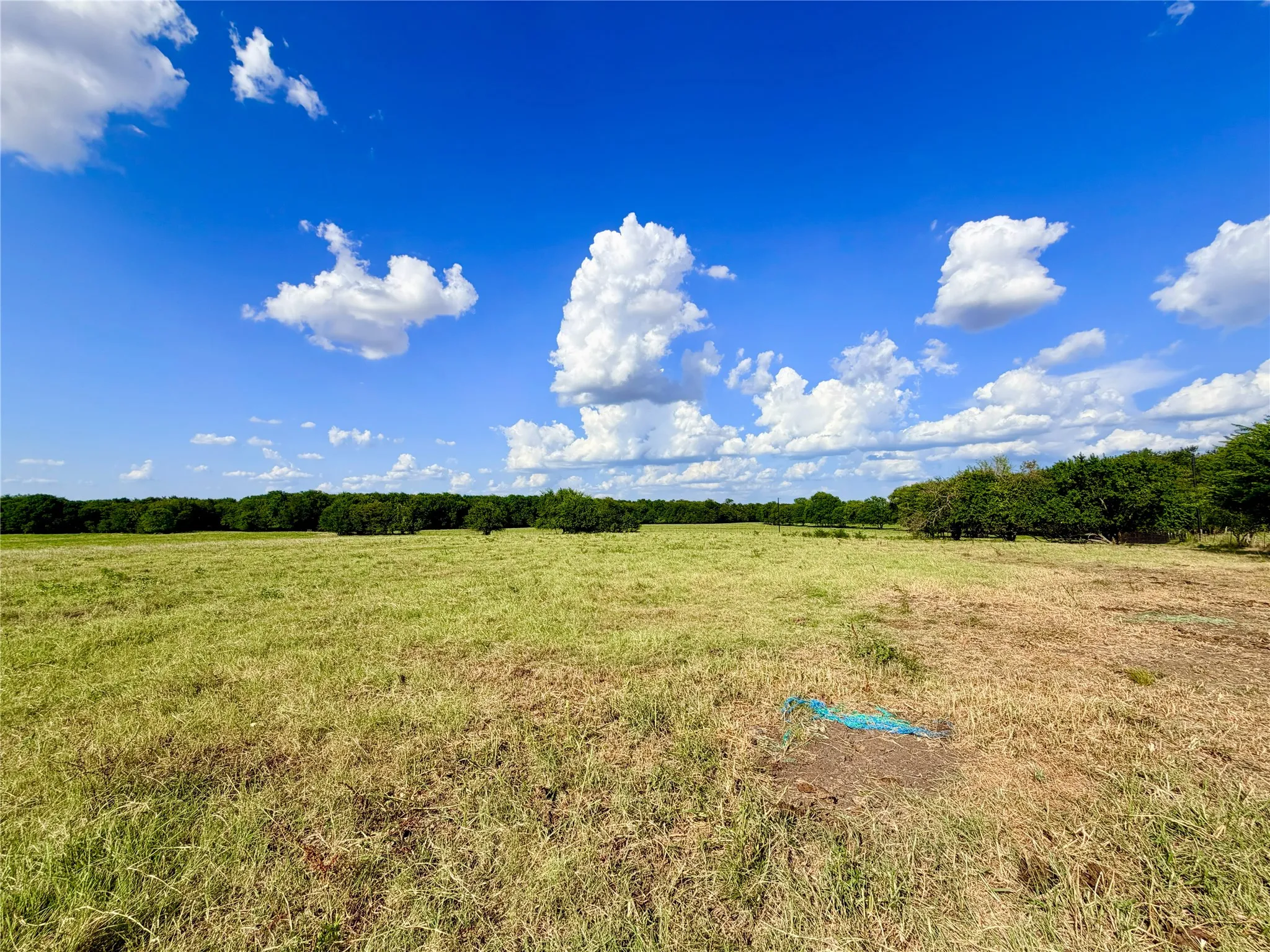Expansive open land with a clear horizon, featuring natural green foliage