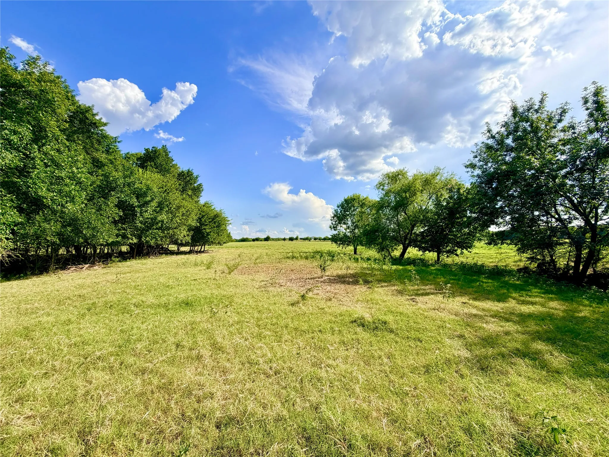 Expansive green field featuring a line of mature trees