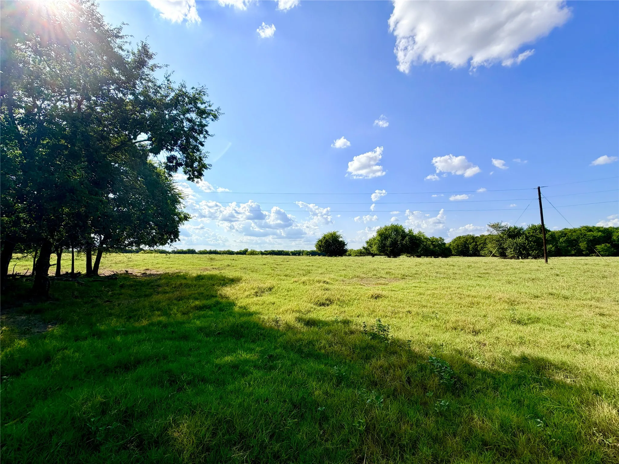 Expansive open field with scattered trees and a clear sky