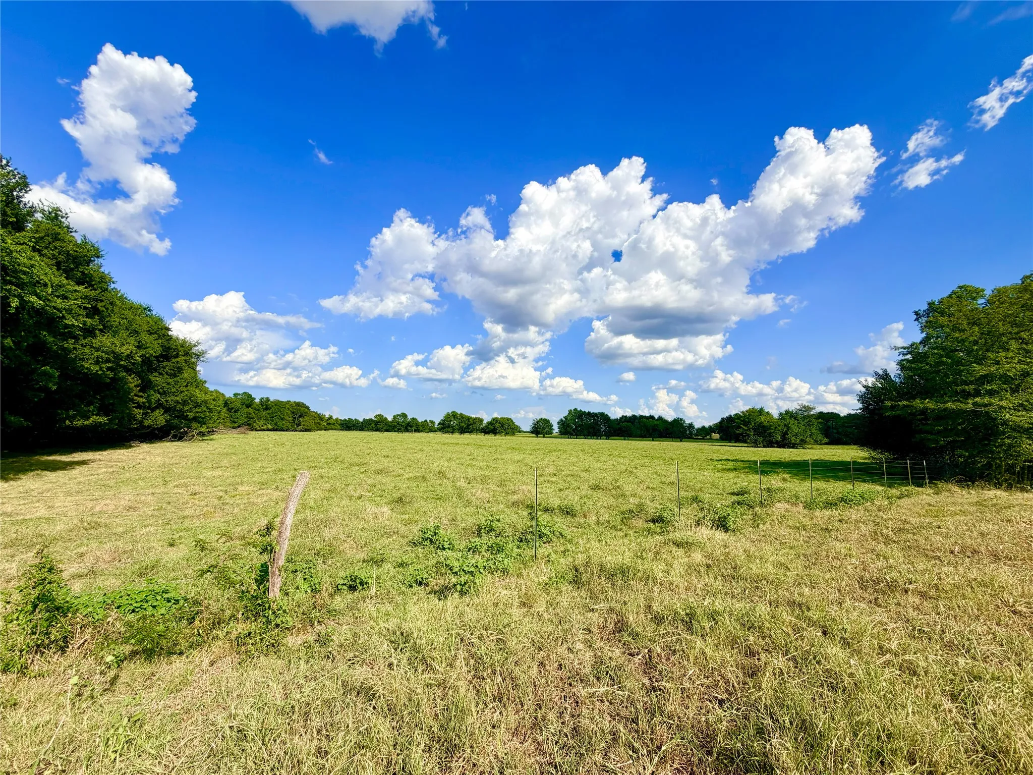 Expansive open field with scattered trees and perimeter fencing